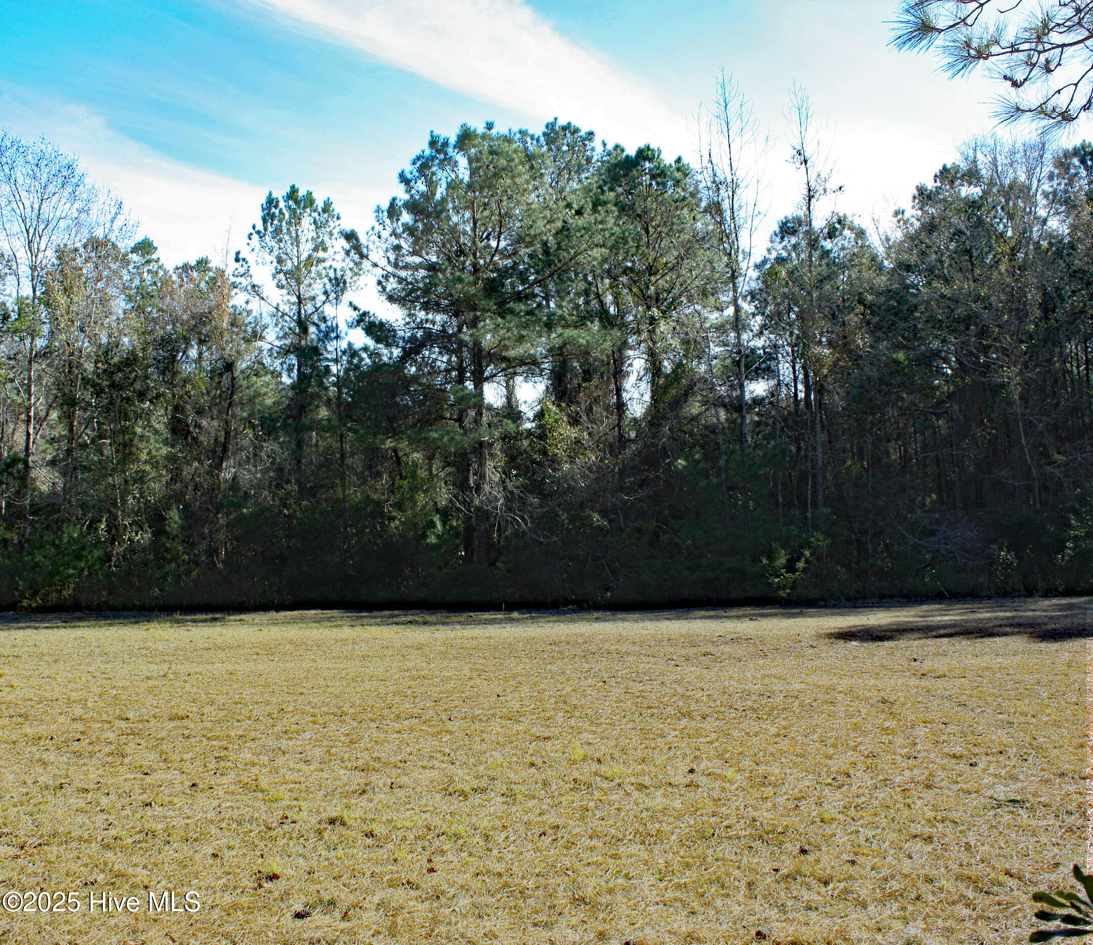 593 Lindgrove Place Property Photo 4