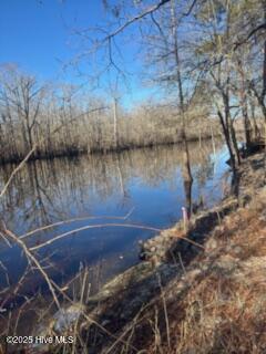 1327 Point Caswell Road Property Photo 6