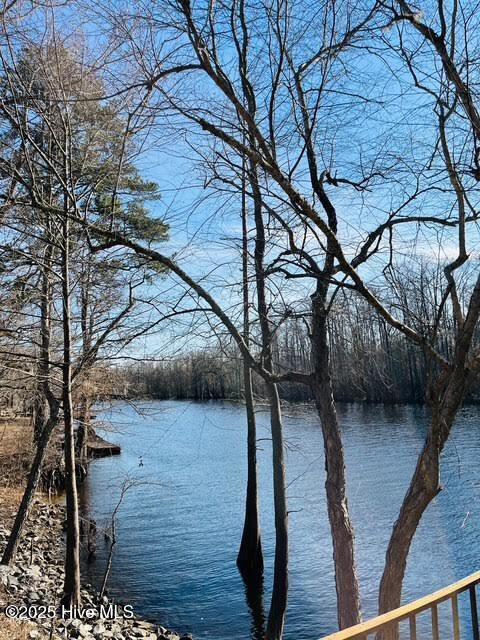 1327 Point Caswell Road Property Photo 26