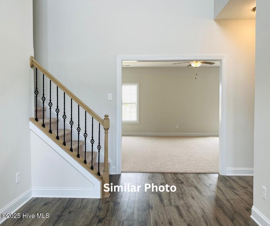 205 Big August Way Property Photo 3