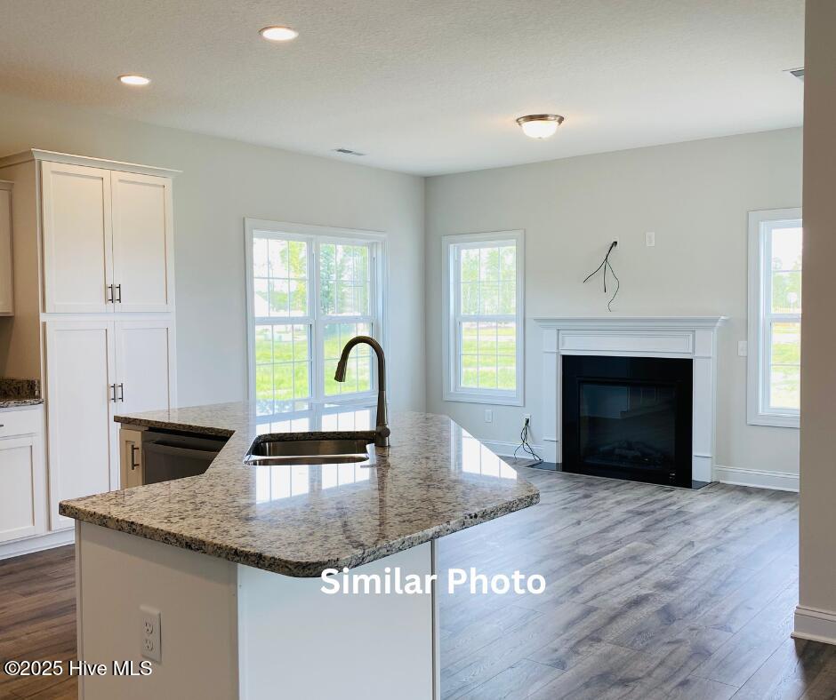 205 Big August Way Property Photo 13