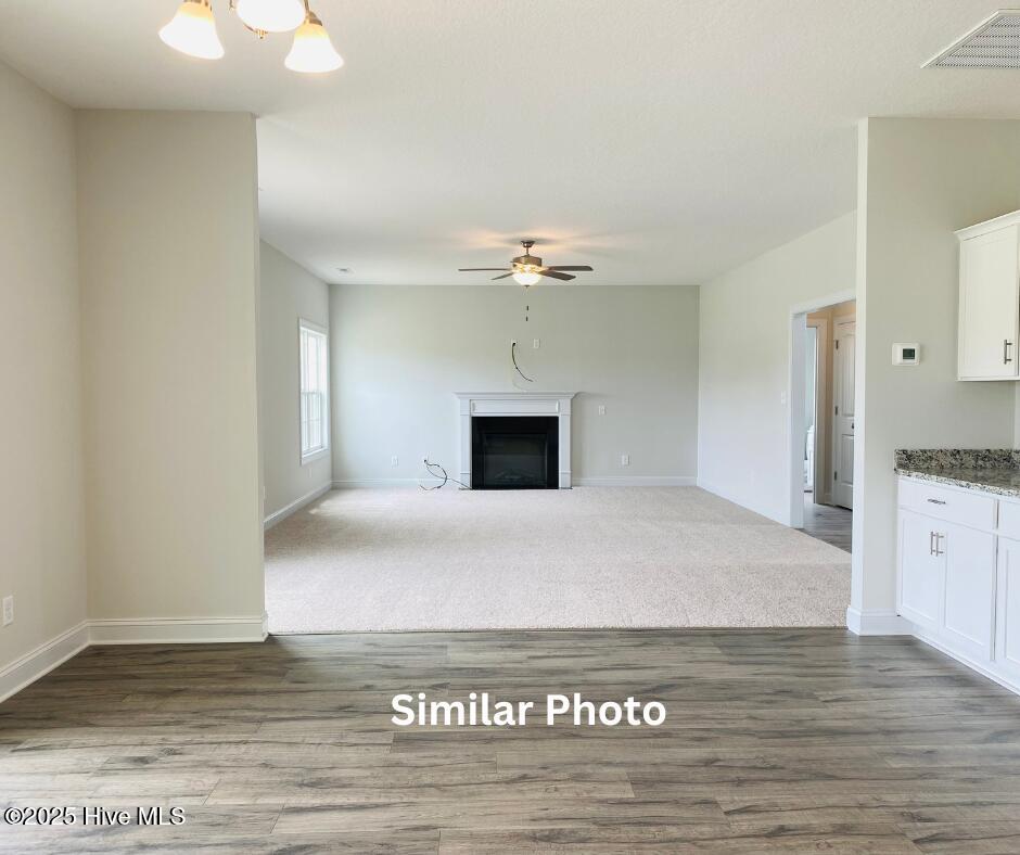 205 Big August Way Property Photo 16