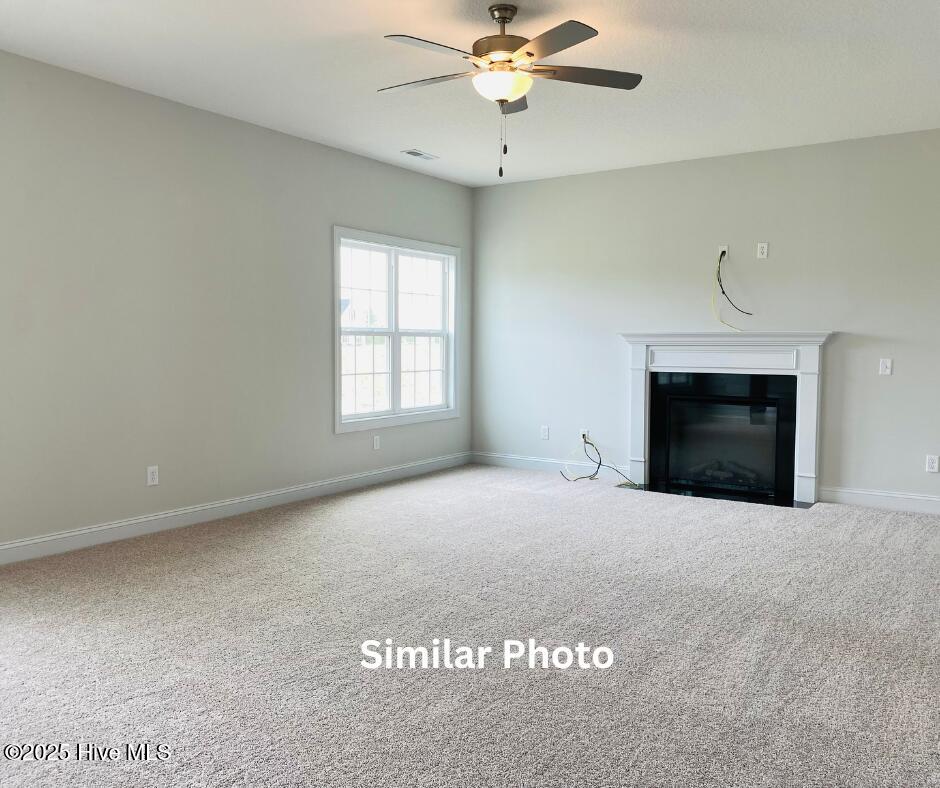 205 Big August Way Property Photo 18