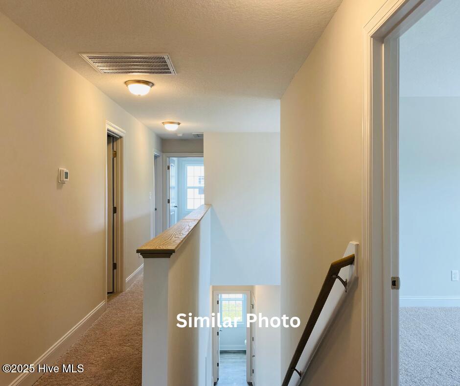 205 Big August Way Property Photo 19