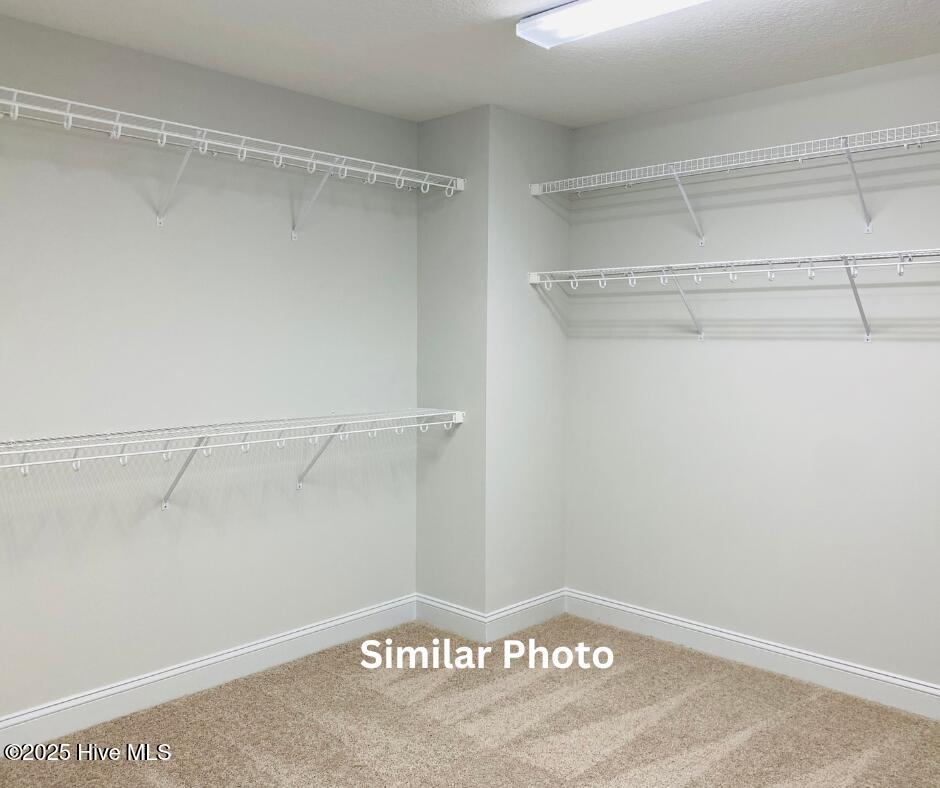 205 Big August Way Property Photo 26