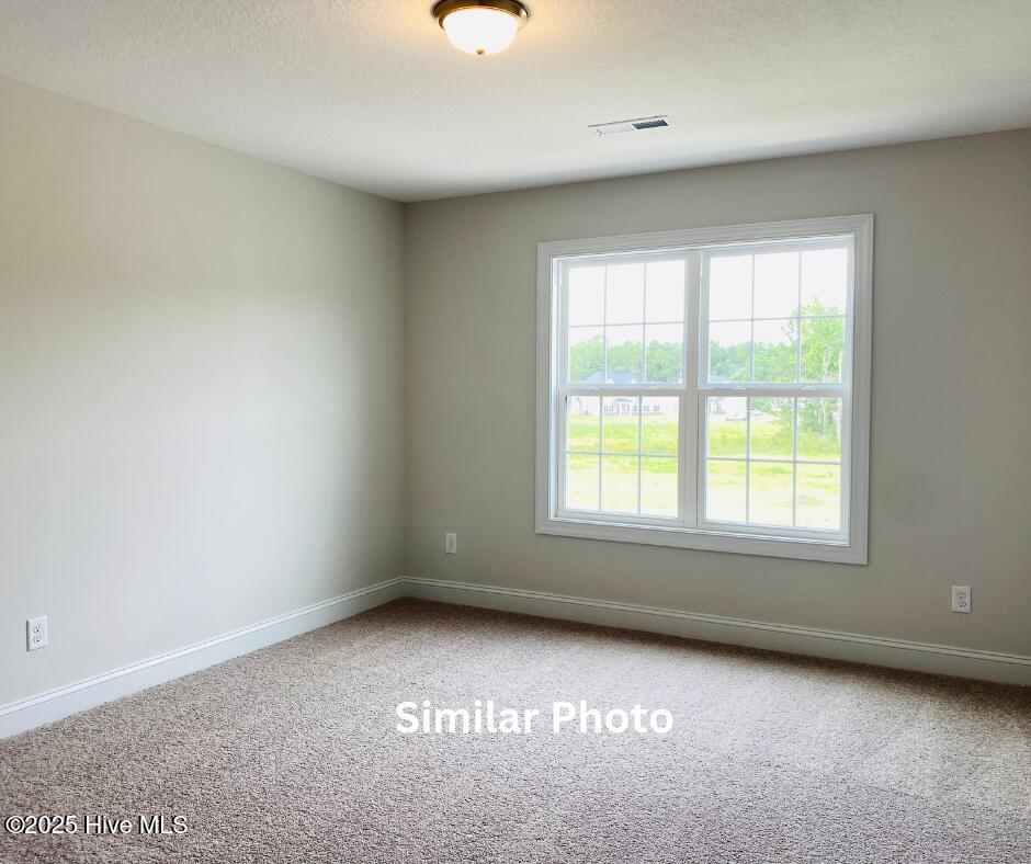 205 Big August Way Property Photo 28