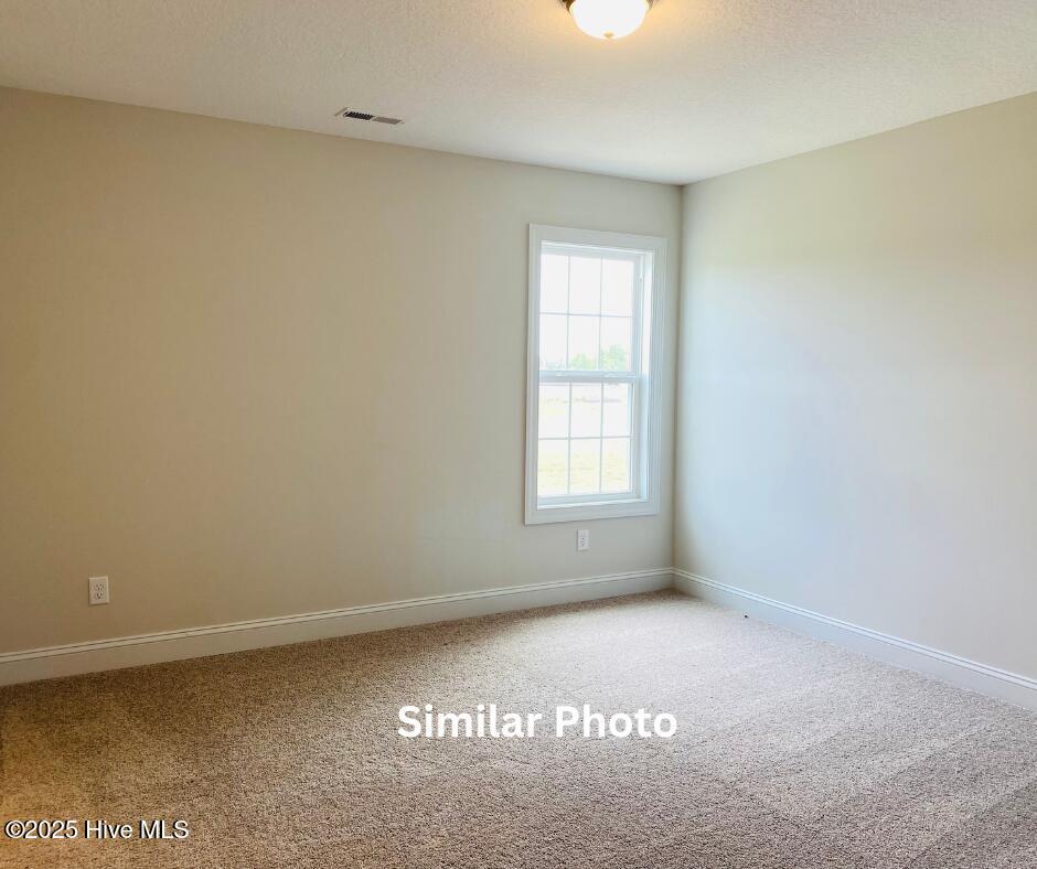 205 Big August Way Property Photo 31