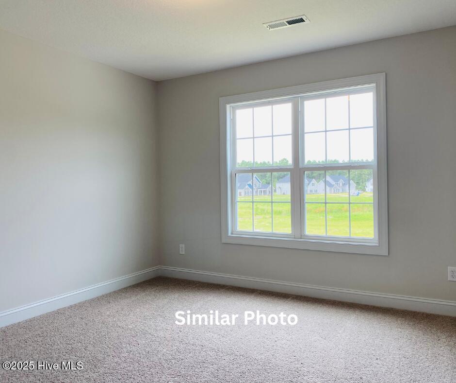 205 Big August Way Property Photo 34
