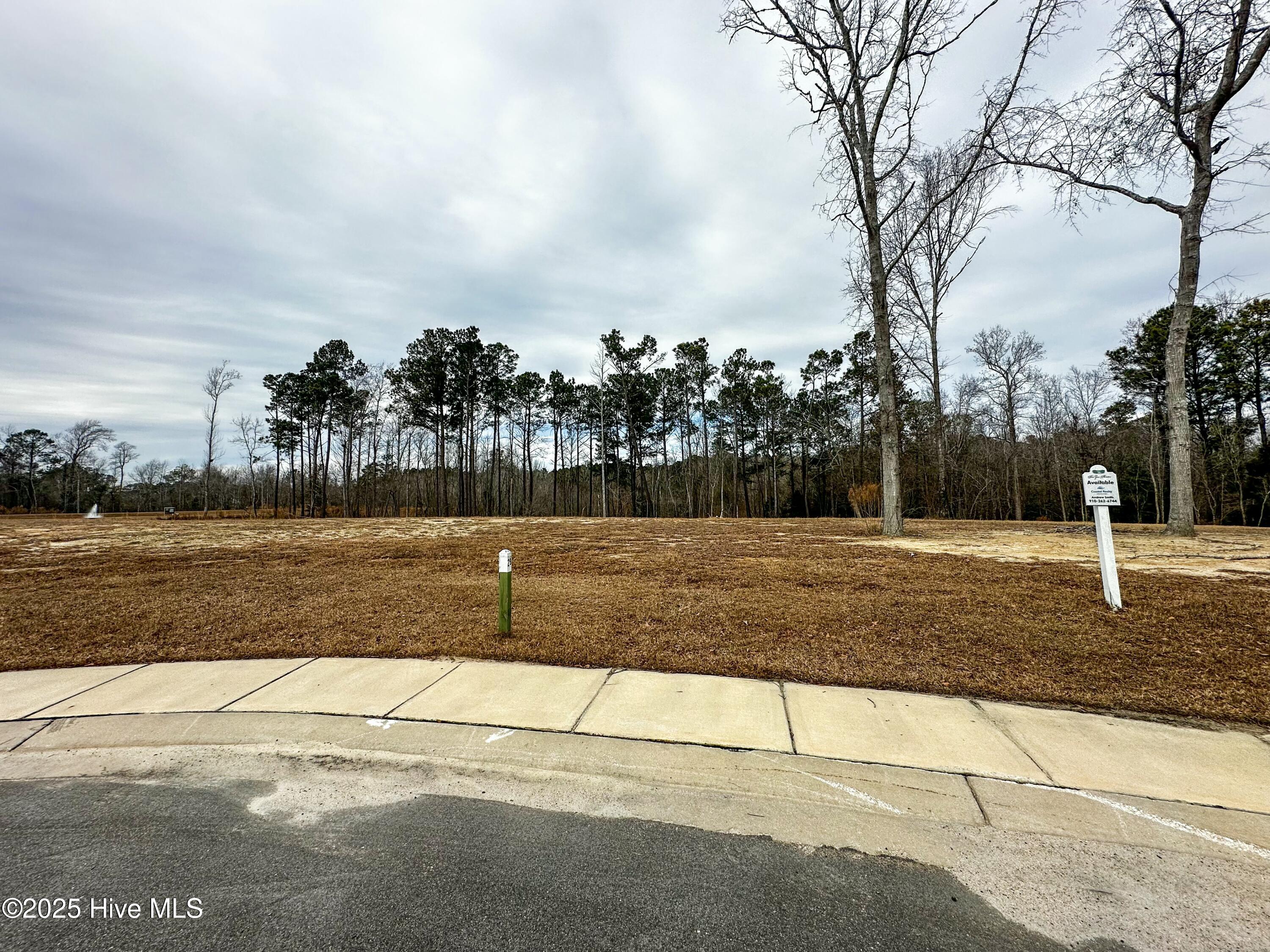 29 W Scarborough Court Property Photo 2