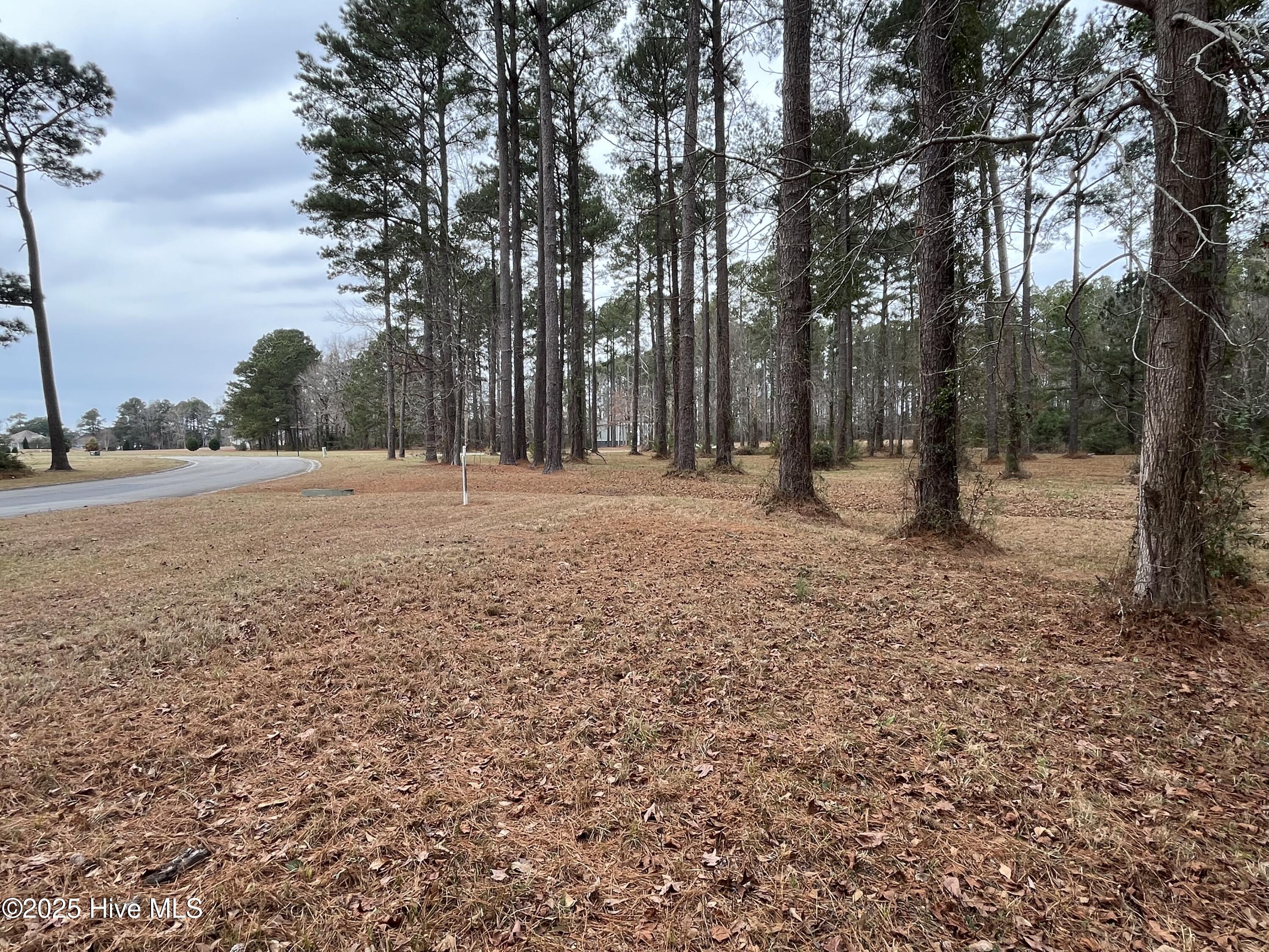464 Dawson Creek Boulevard Property Photo 2