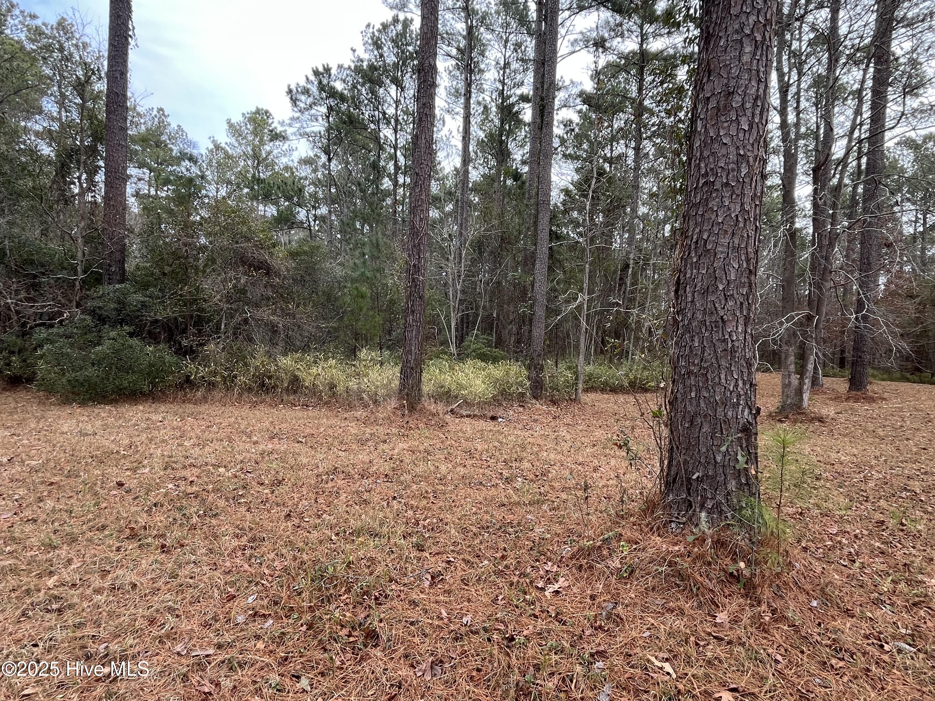 464 Dawson Creek Boulevard Property Photo 8