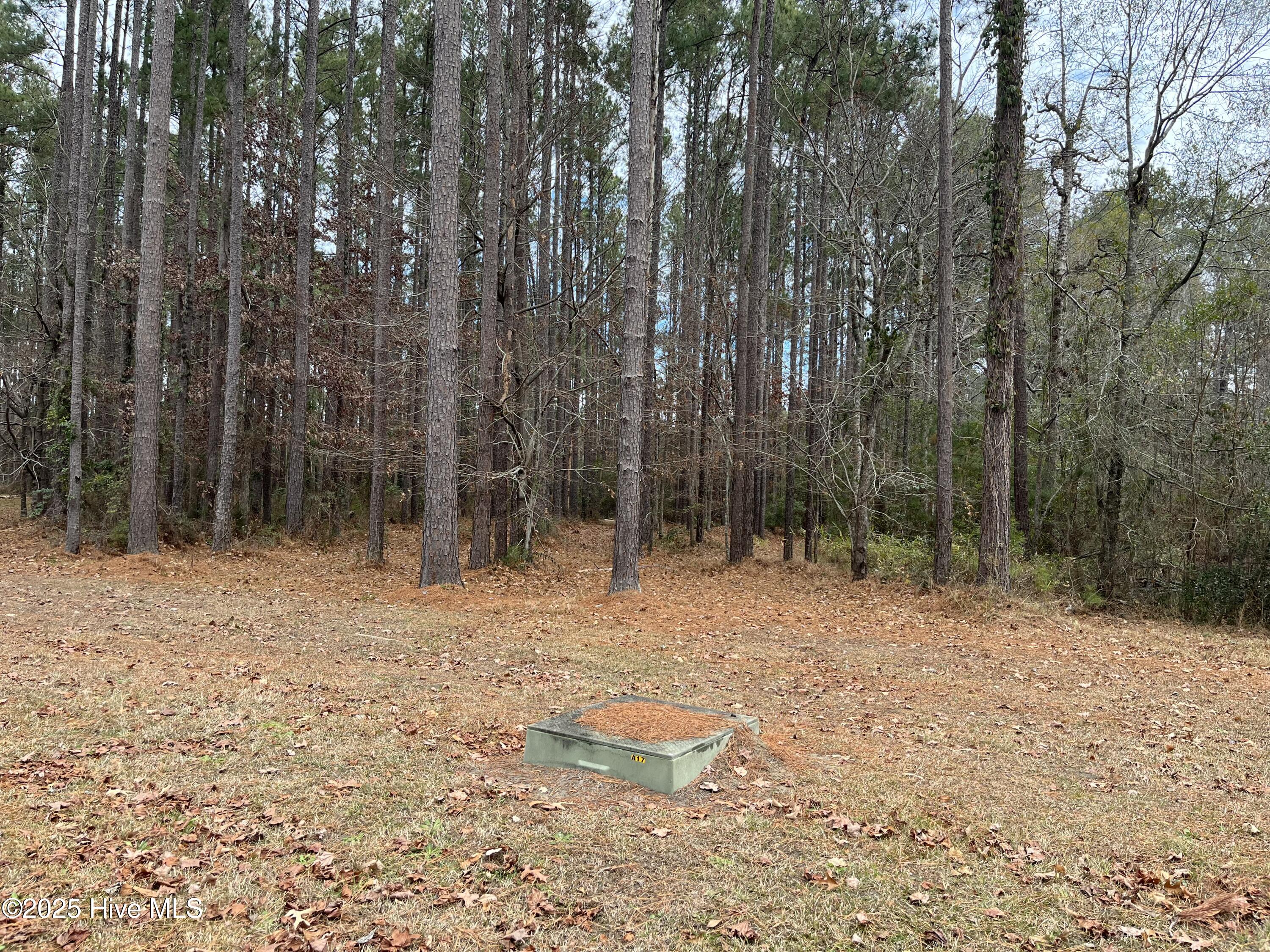 88 Cape Hatteras Point Property Photo 2