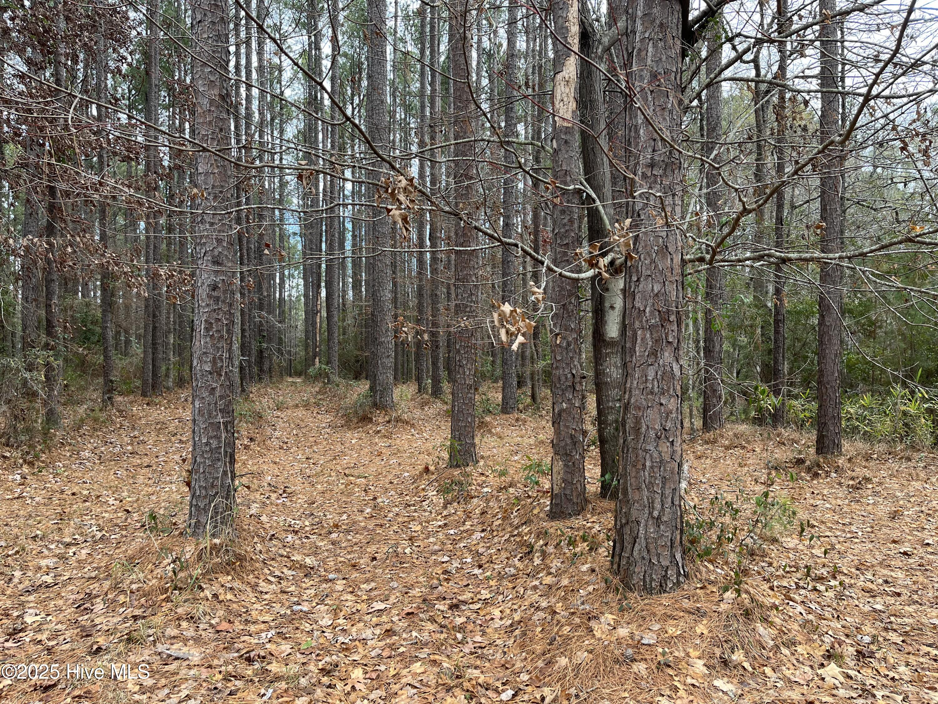 88 Cape Hatteras Point Property Photo 4
