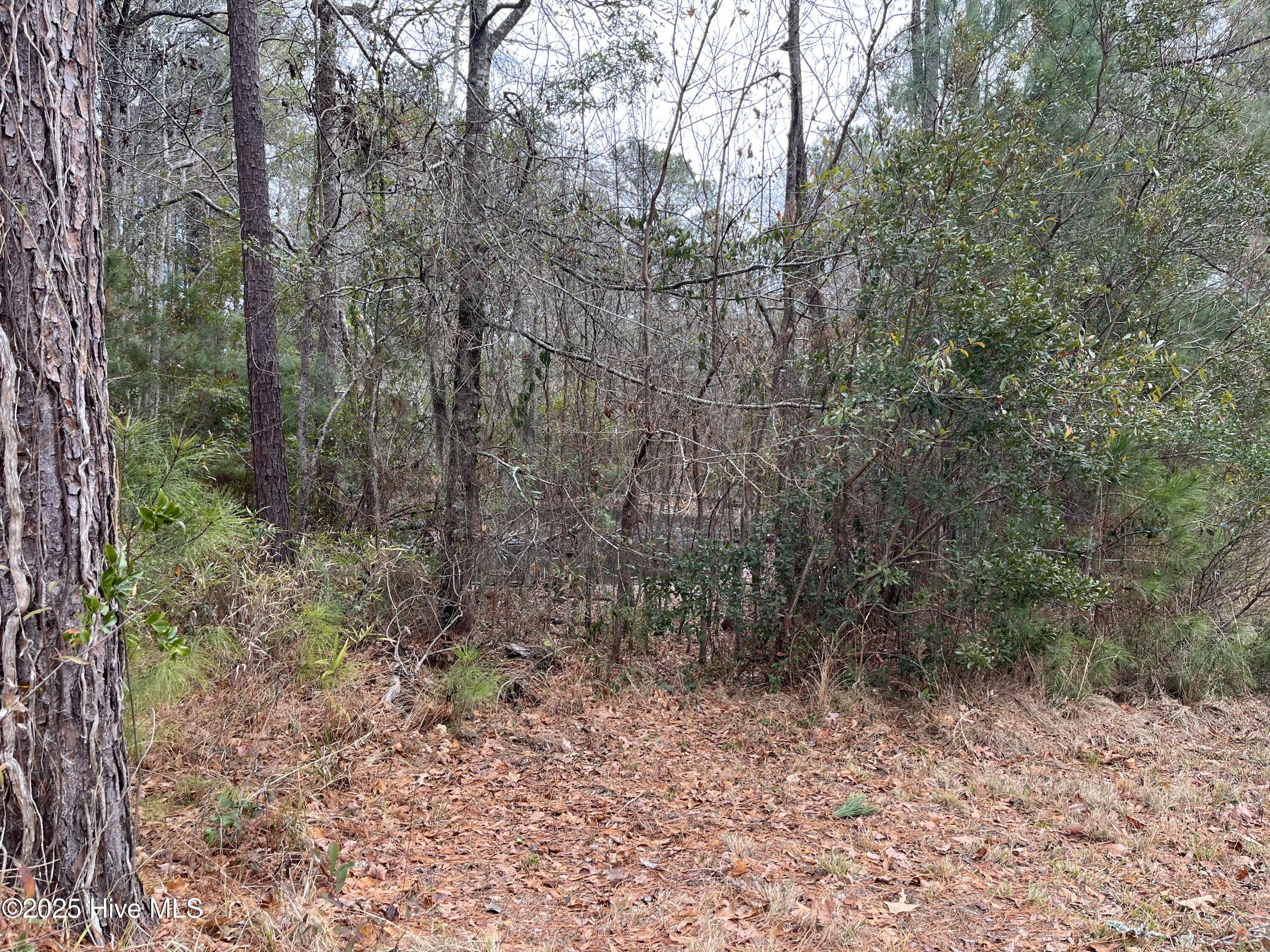 88 Cape Hatteras Point Property Photo 5