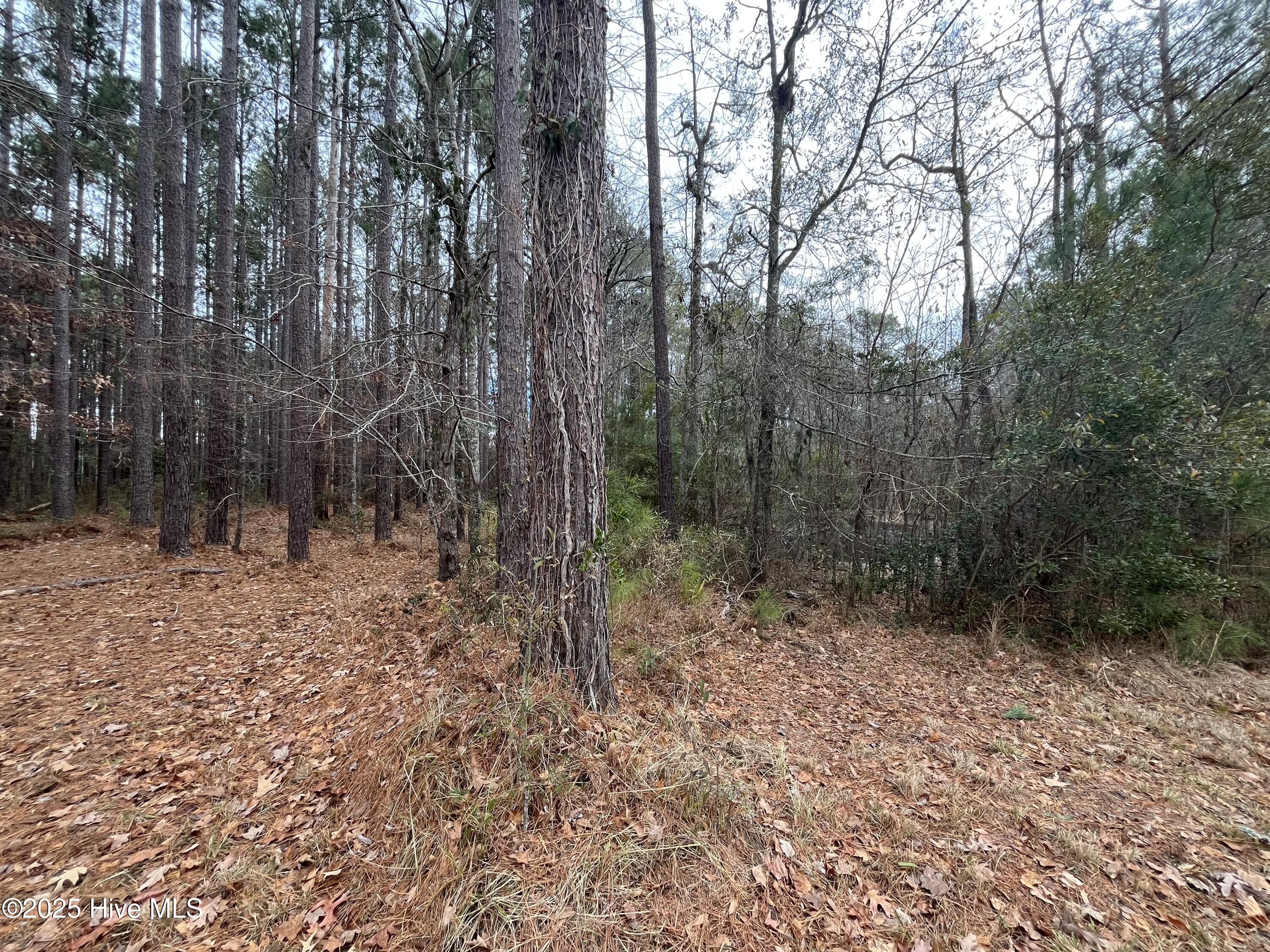 88 Cape Hatteras Point Property Photo 6