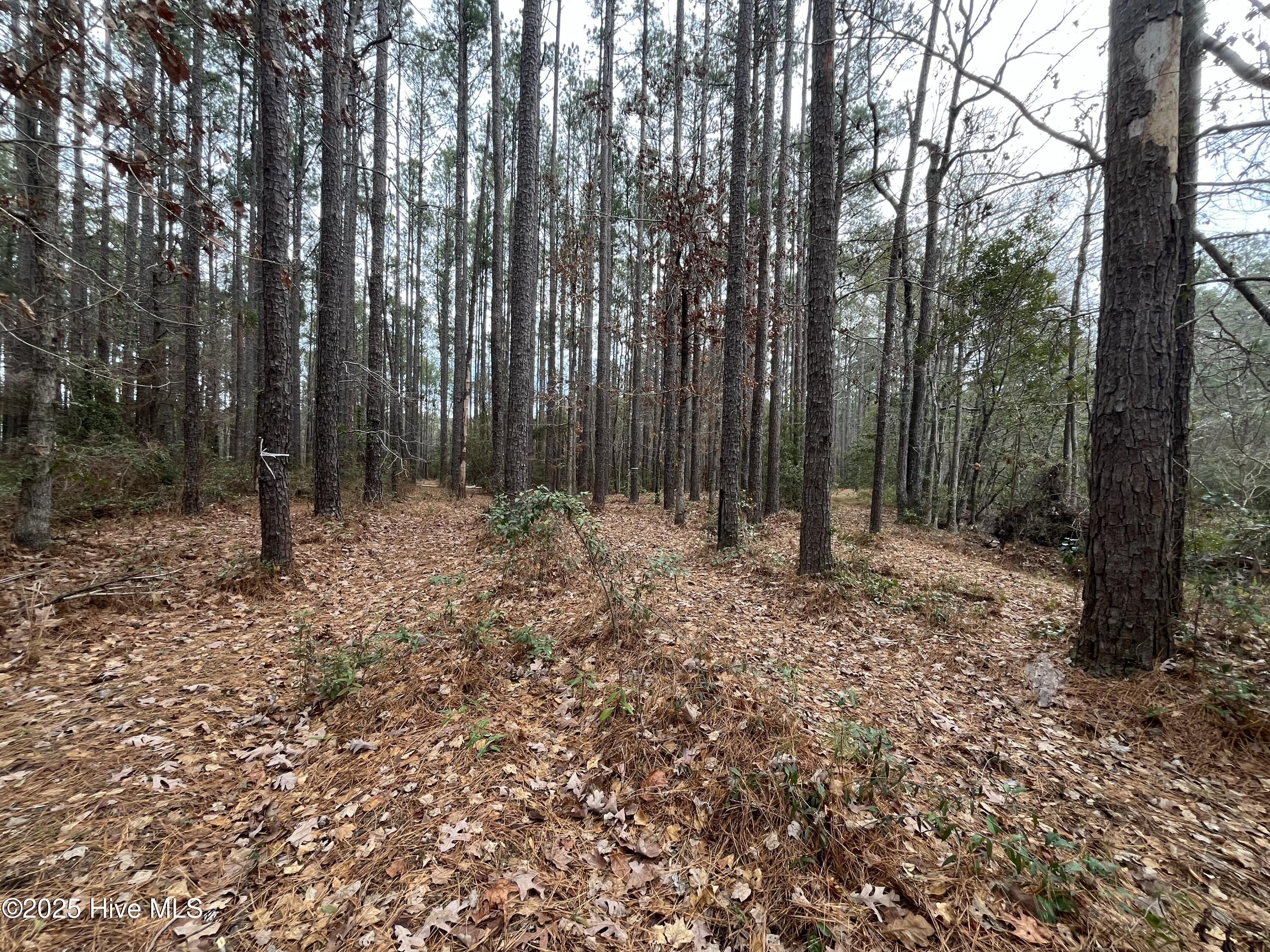 88 Cape Hatteras Point Property Photo 7