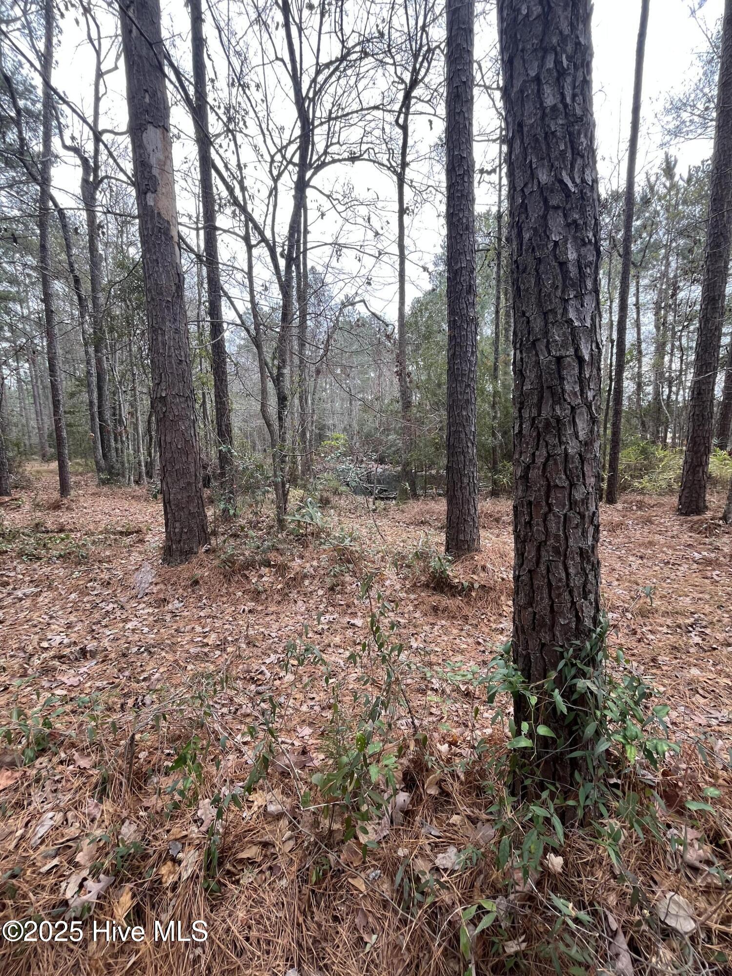 88 Cape Hatteras Point Property Photo 8