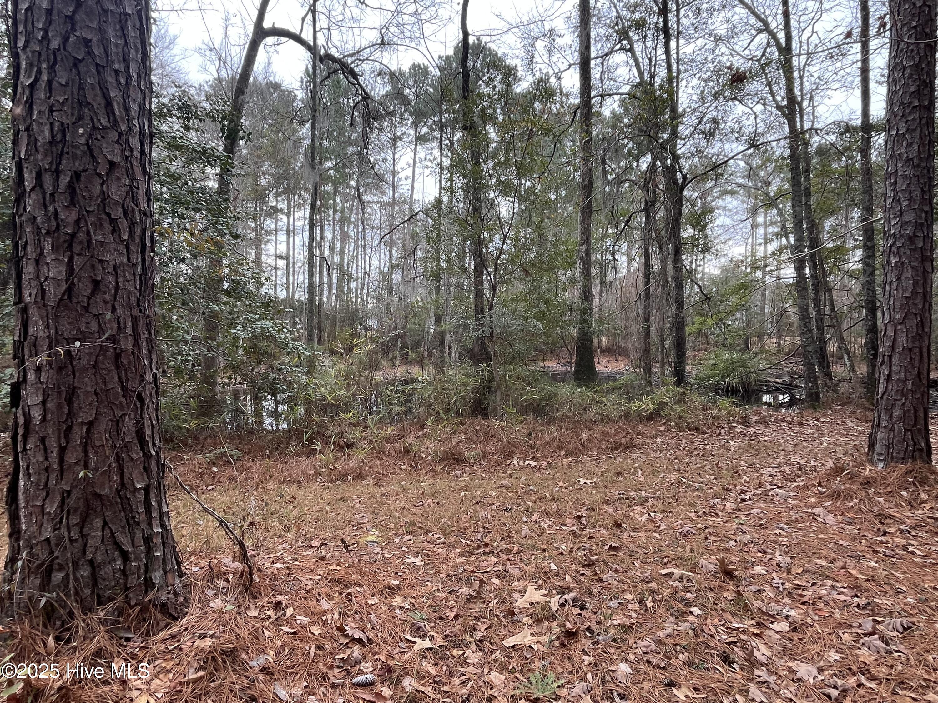 88 Cape Hatteras Point Property Photo 11