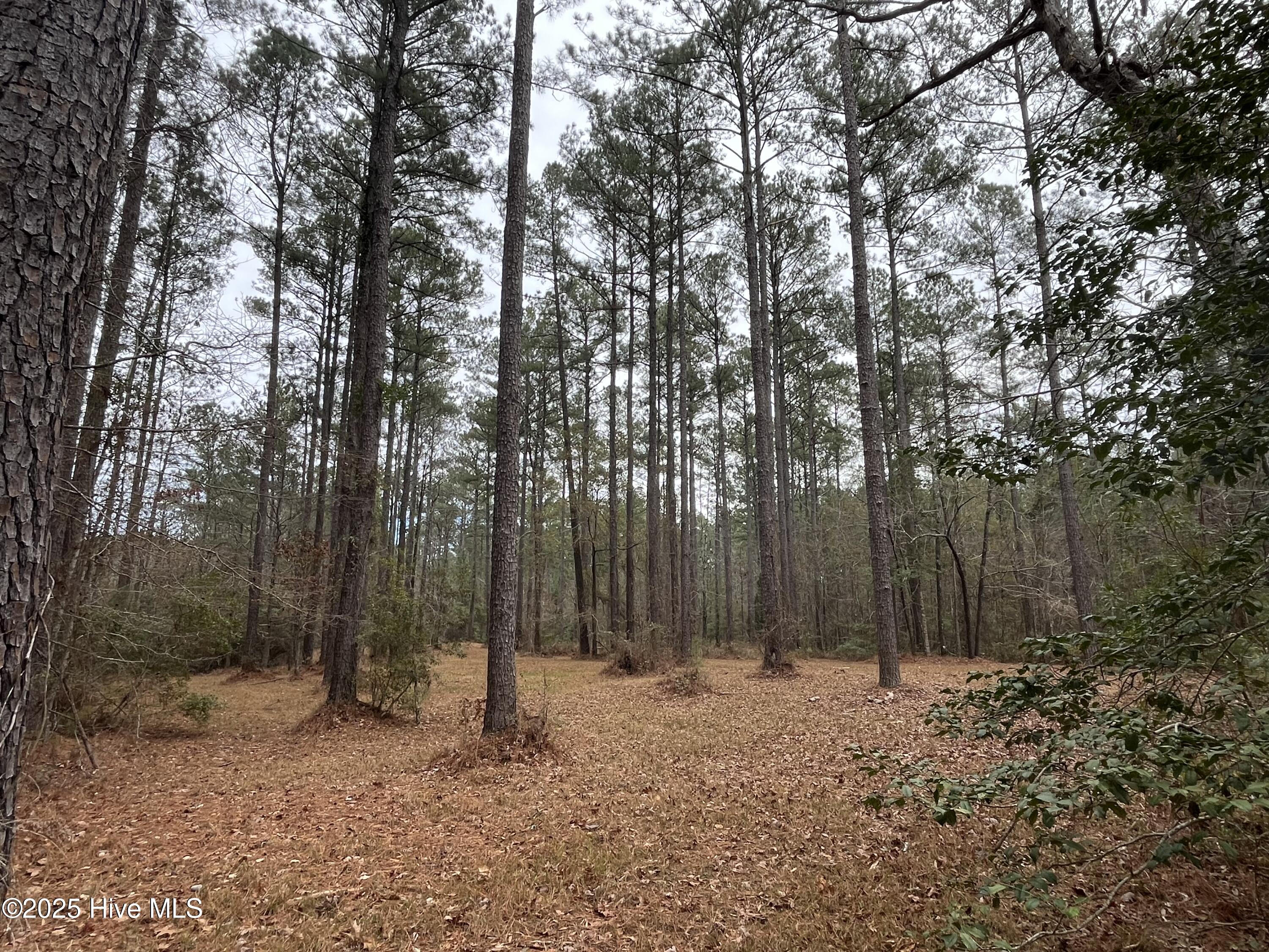 88 Cape Hatteras Point Property Photo 12