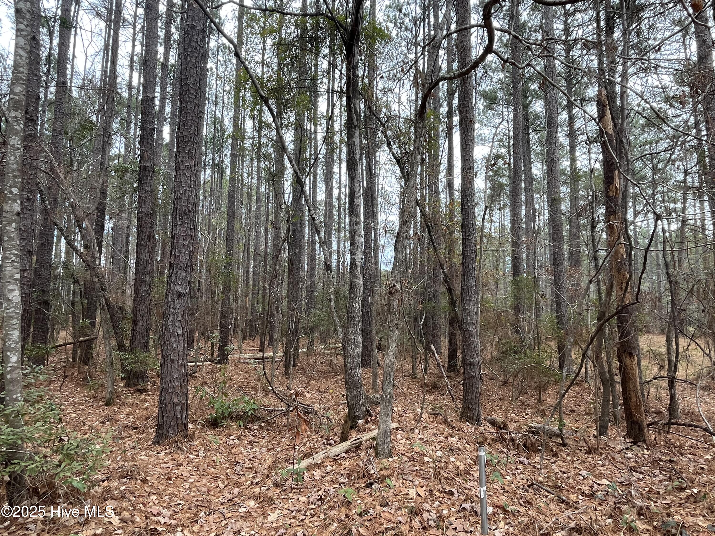 88 Cape Hatteras Point Property Photo 13
