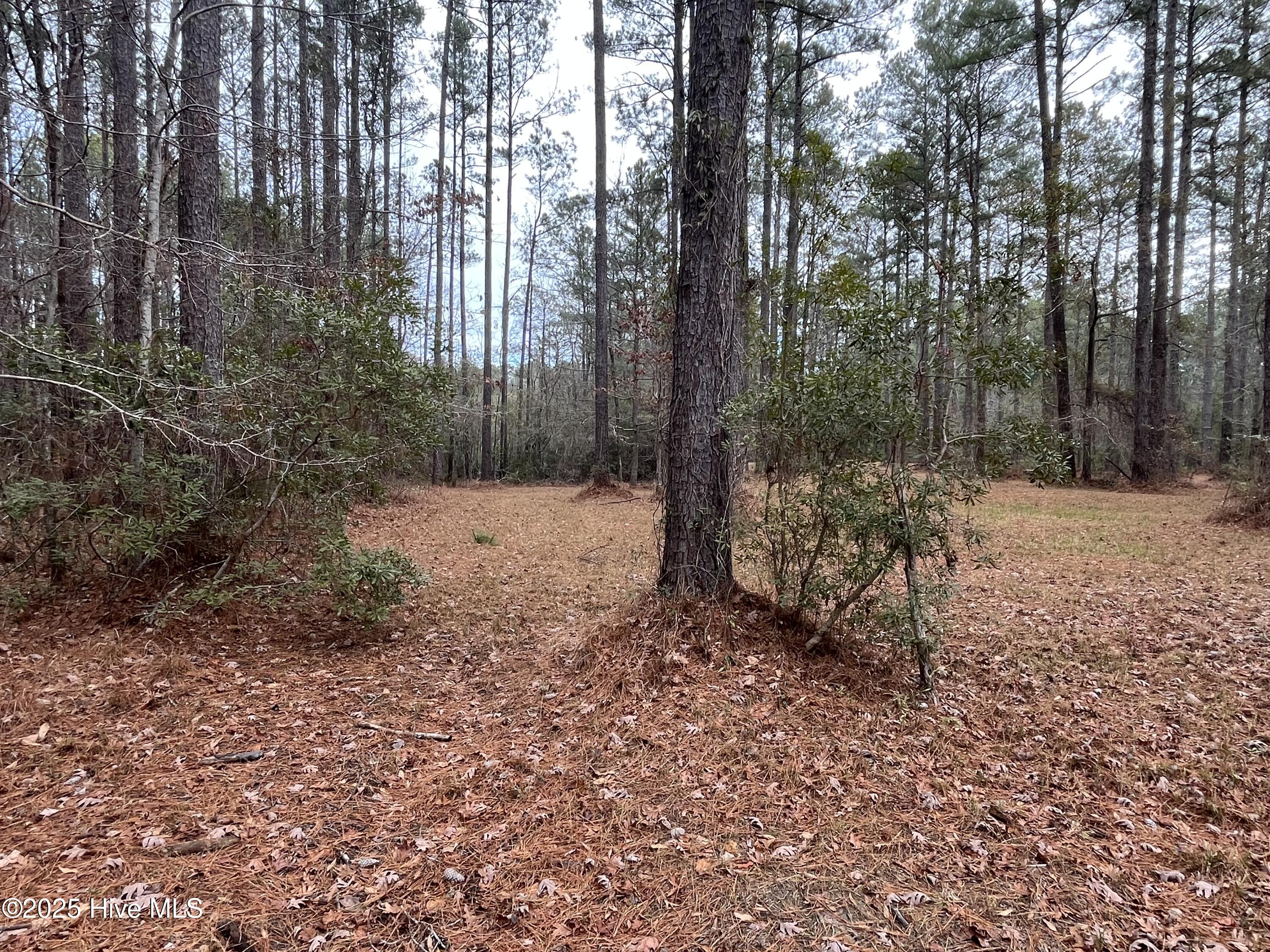 88 Cape Hatteras Point Property Photo 14