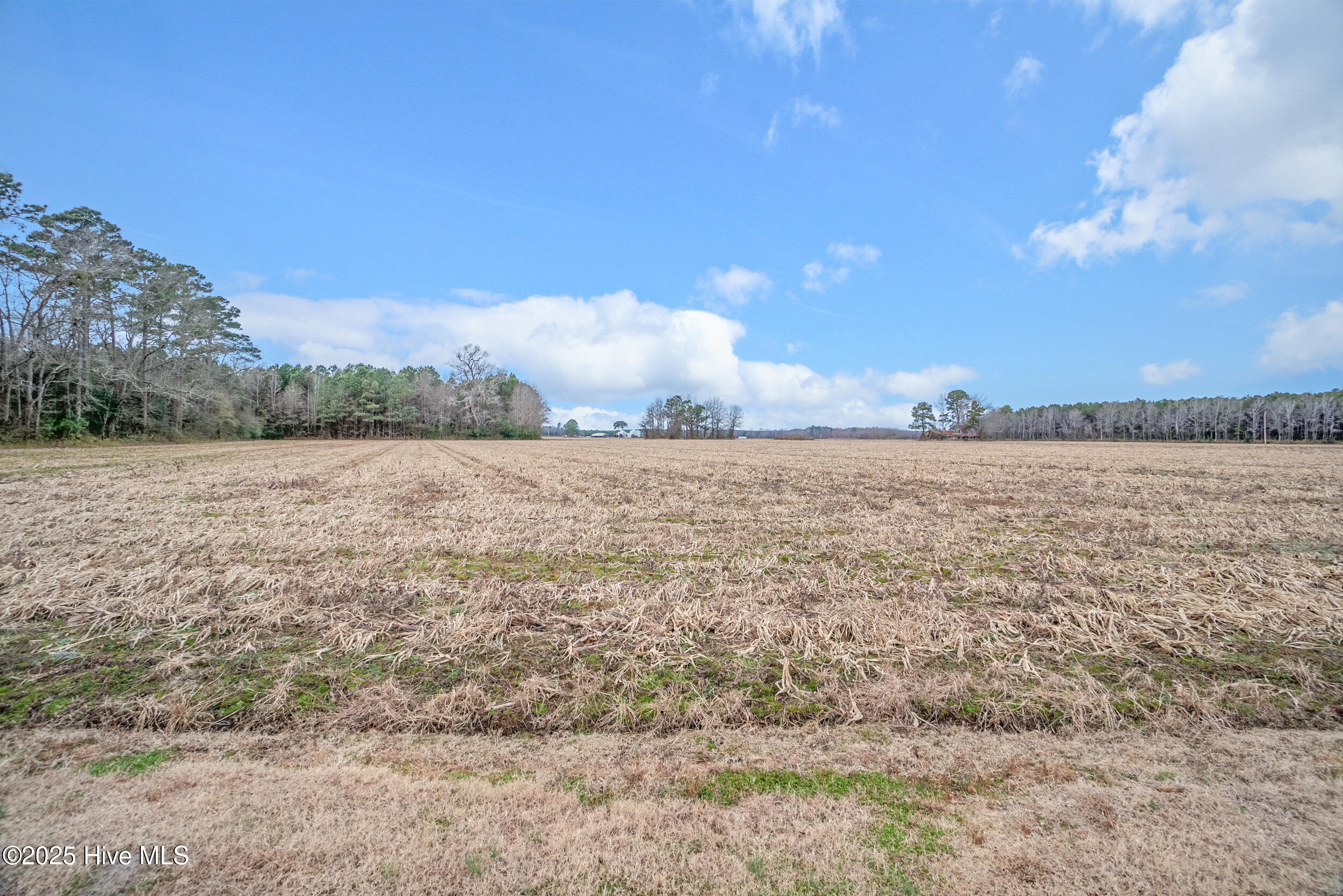 348 Hobbsville Road Property Photo 53