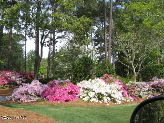 526 Lindgrove Place Property Photo 8