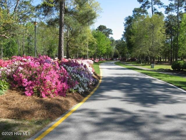 526 Lindgrove Place Property Photo 10