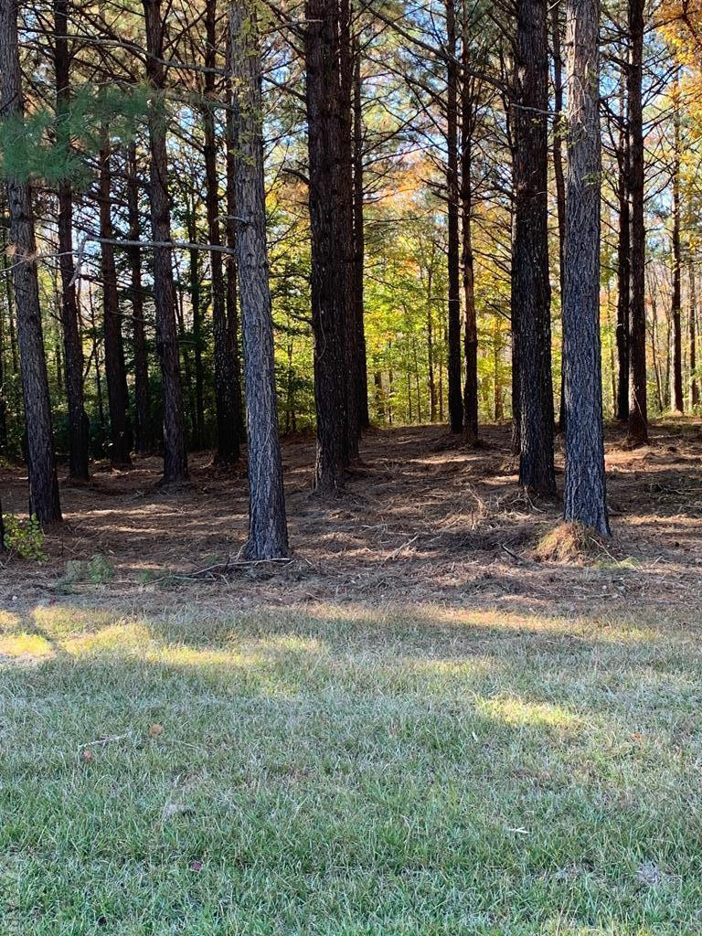 242 Plumtree Circle Property Photo 8