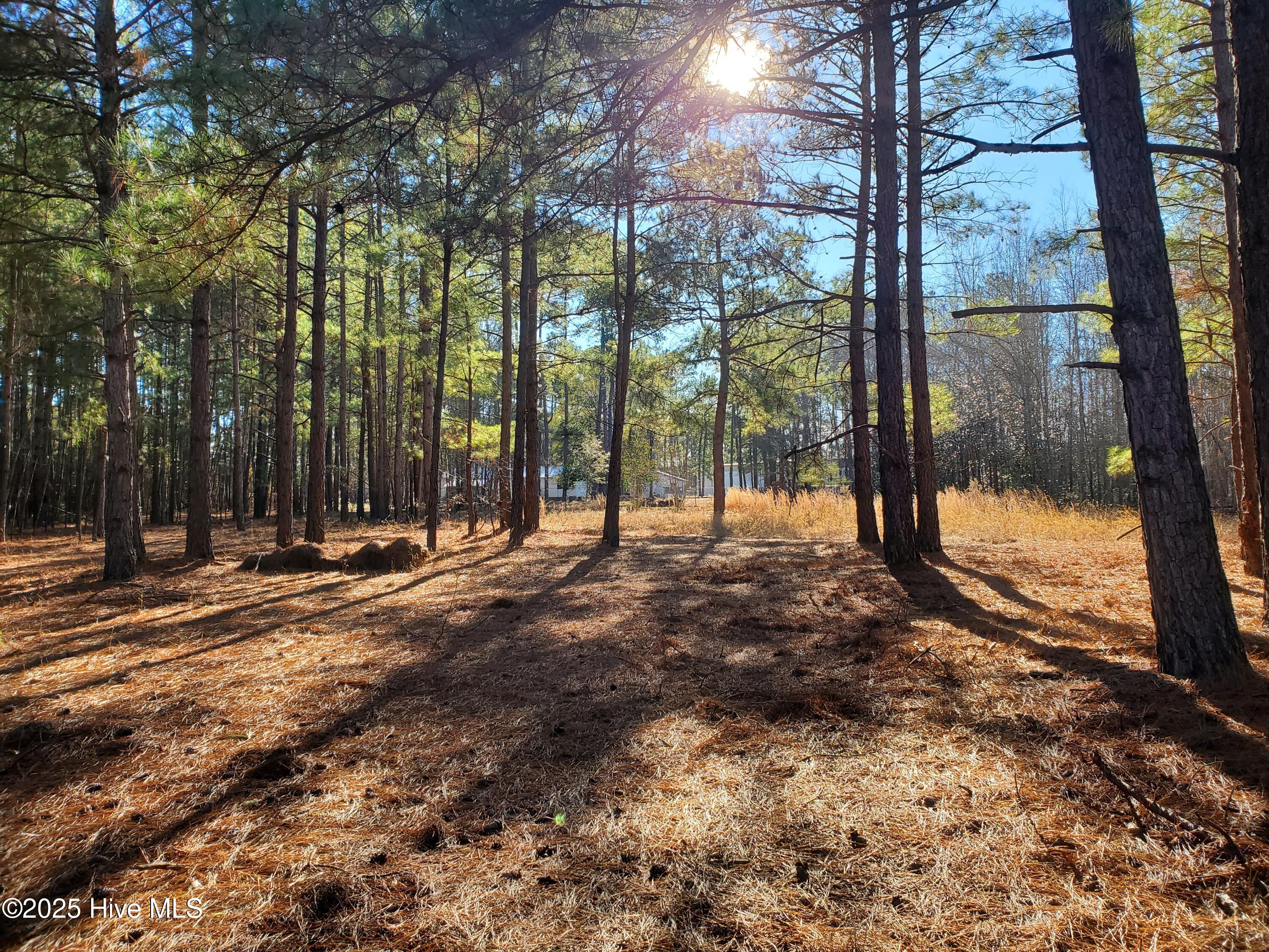 Tbd Crestline Road Property Photo 1