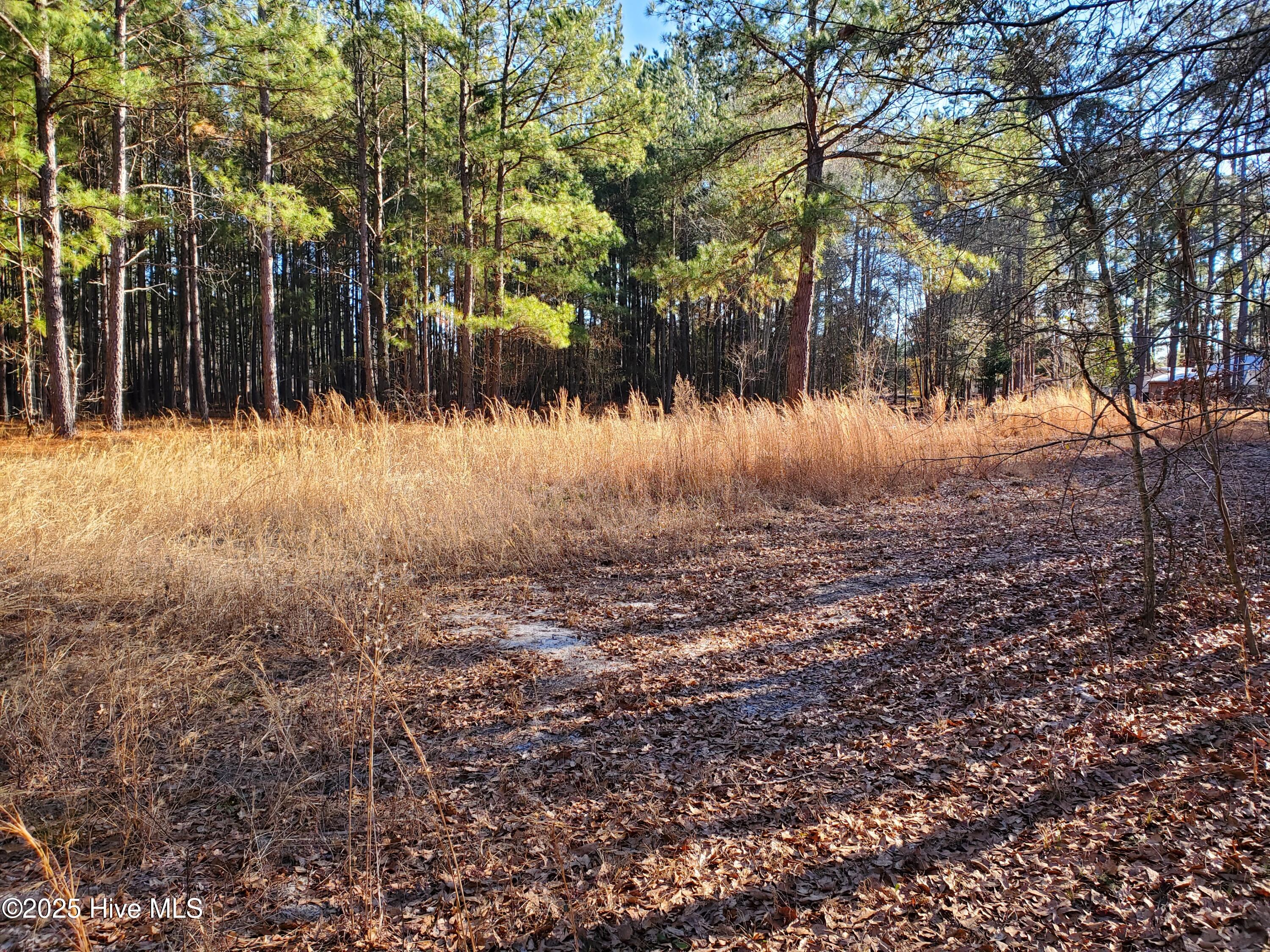 Tbd Crestline Road Property Photo 2