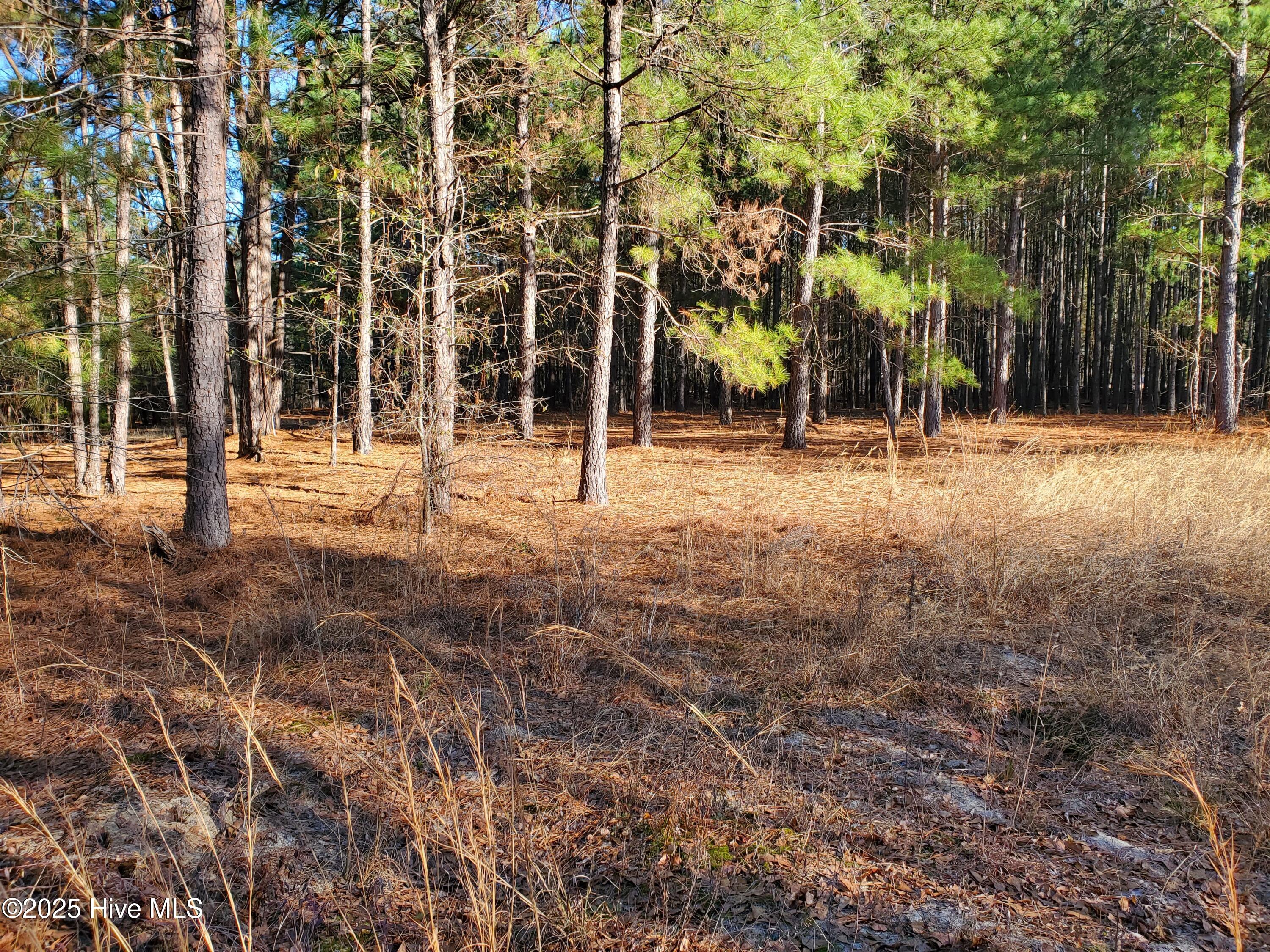Tbd Crestline Road Property Photo 3