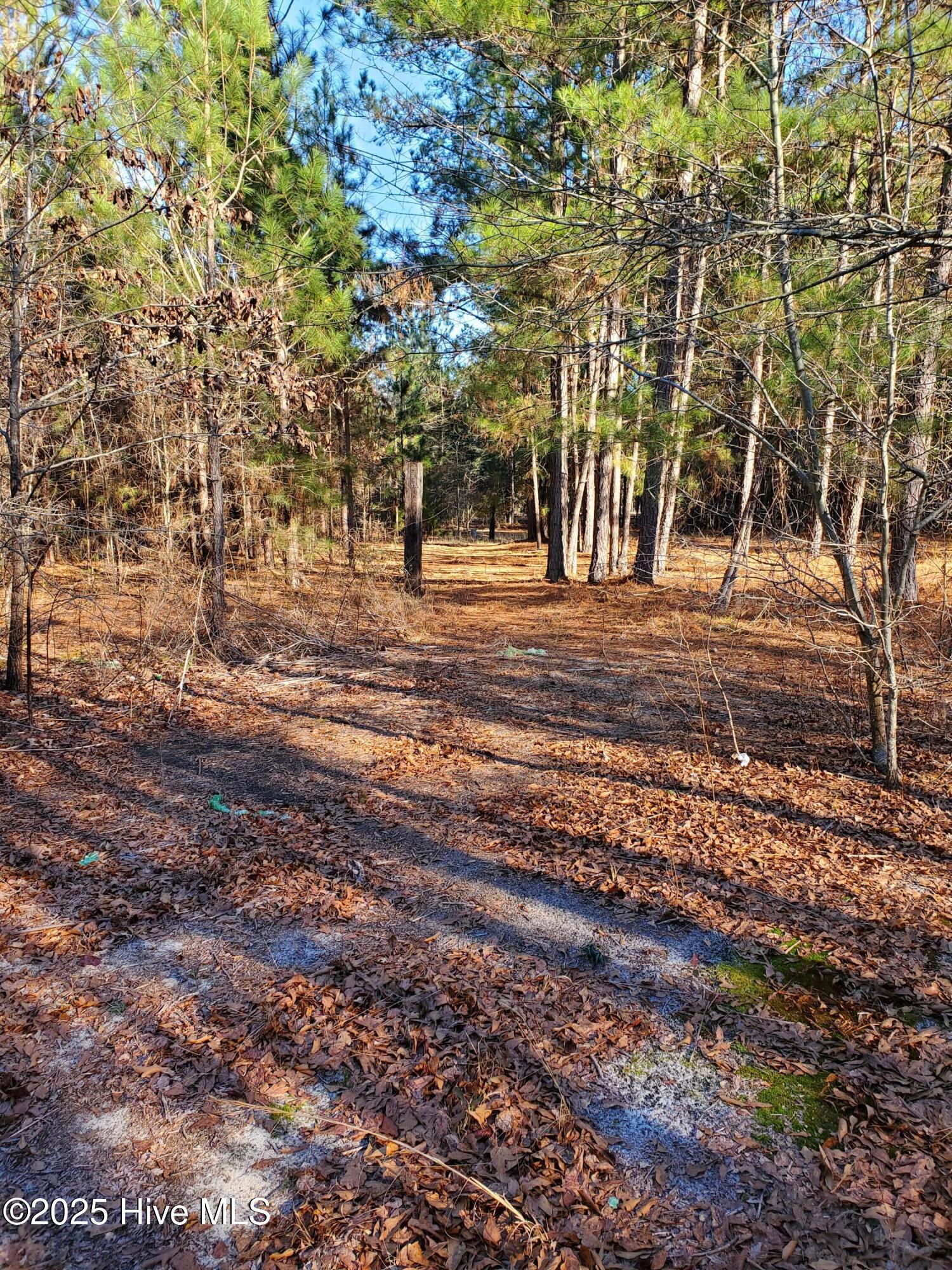 Tbd Crestline Road Property Photo 4