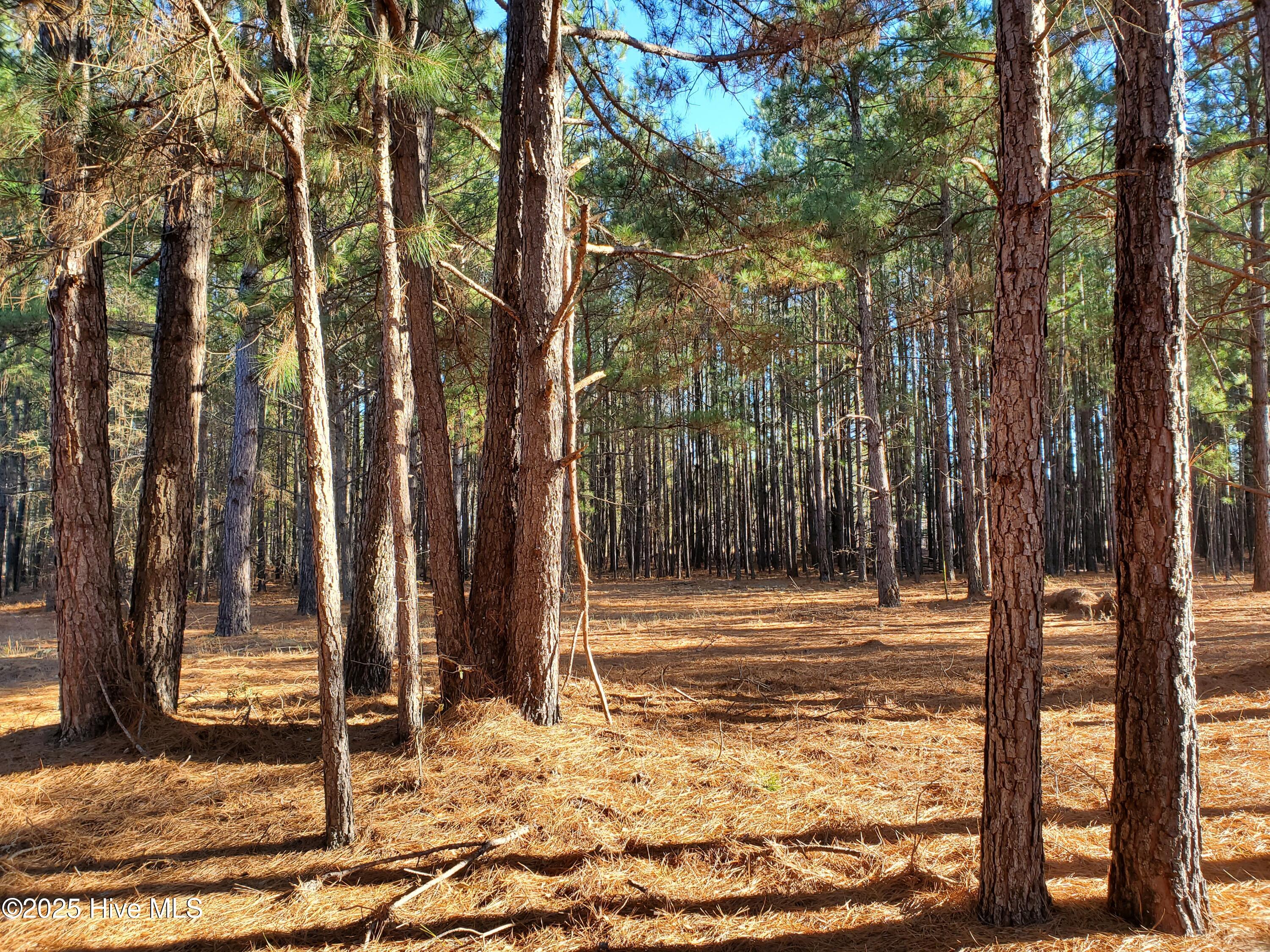 Tbd Crestline Road Property Photo 5