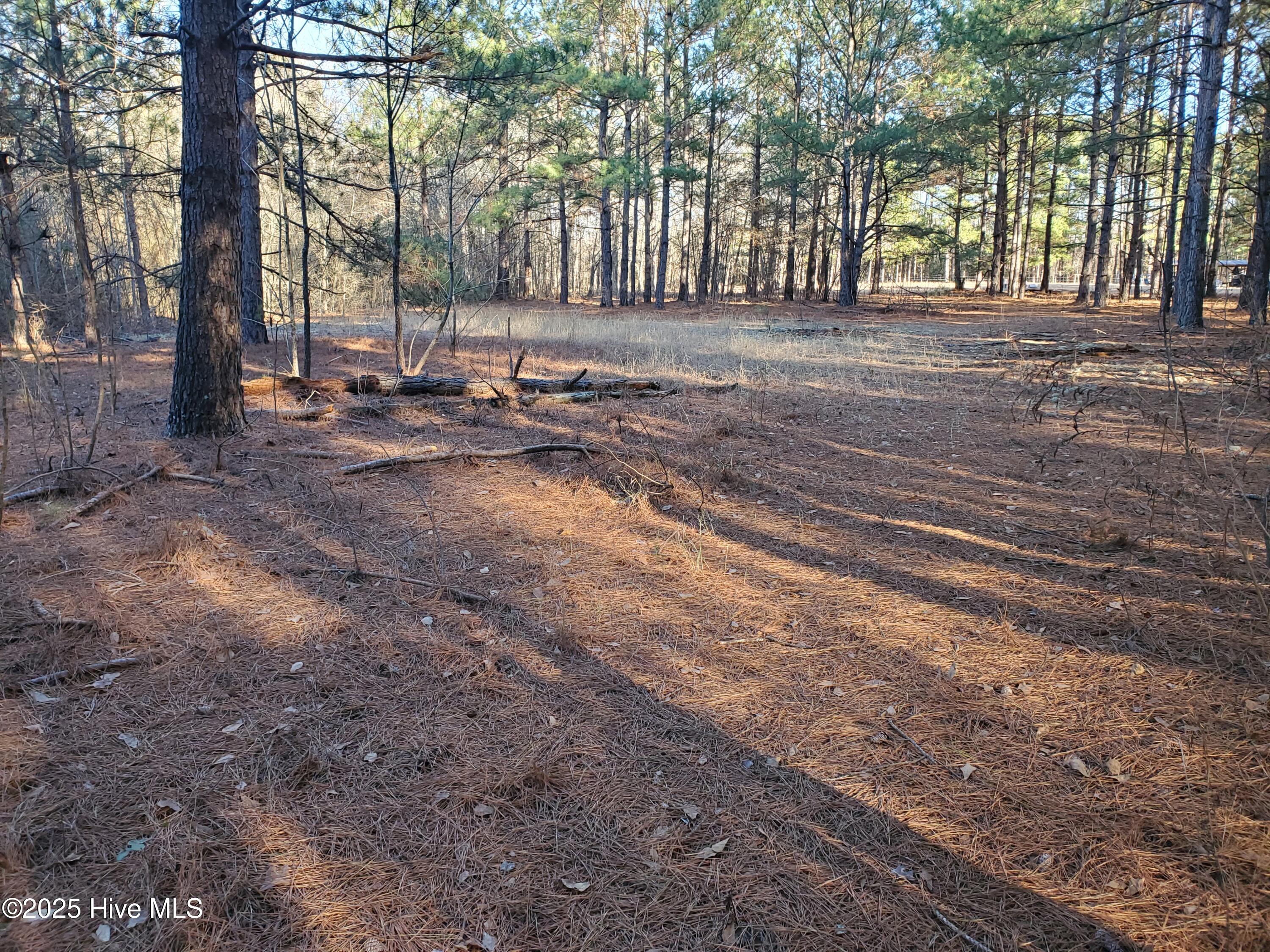 Tbd Crestline Road Property Photo 6