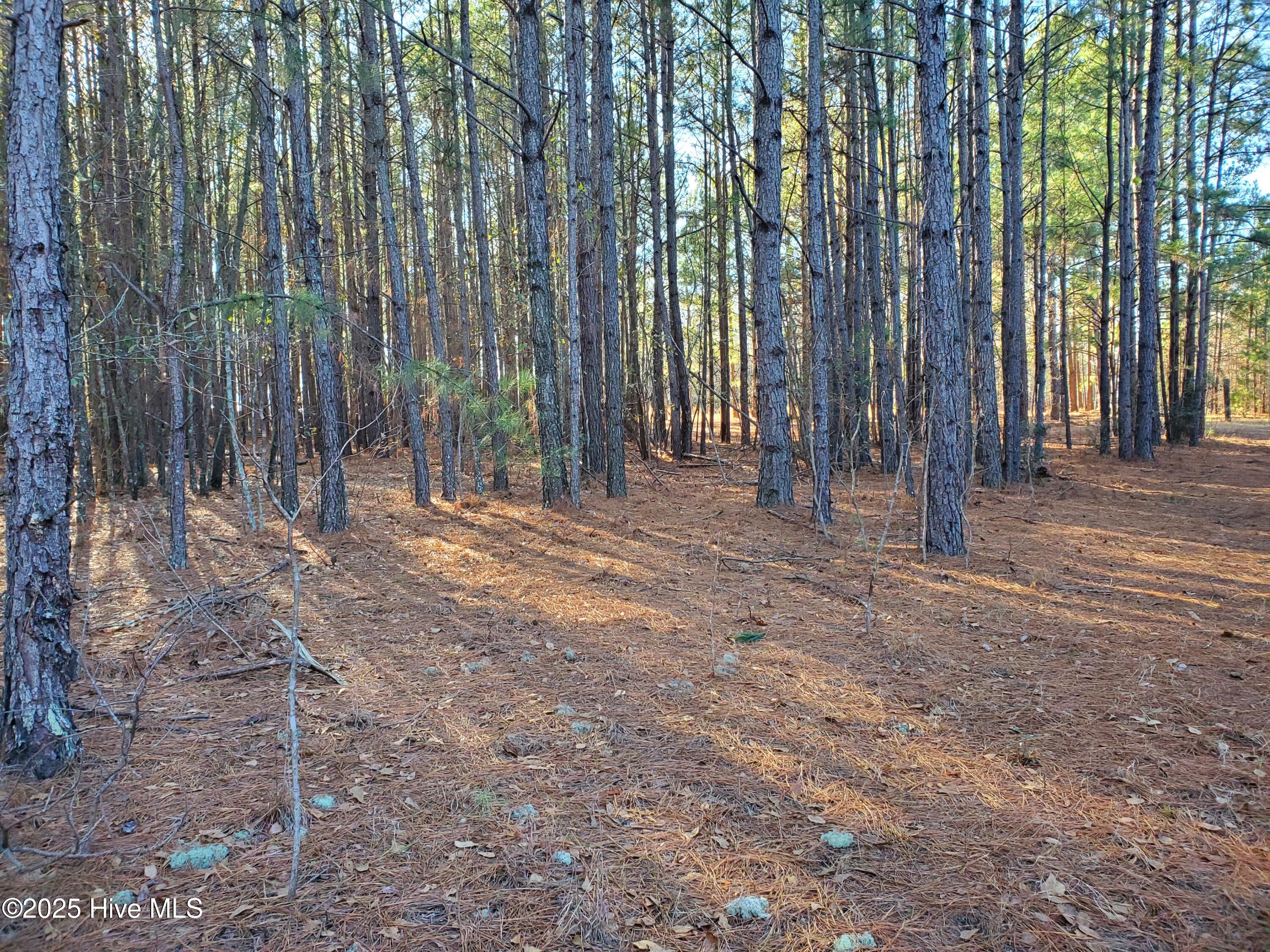 Tbd Crestline Road Property Photo 7