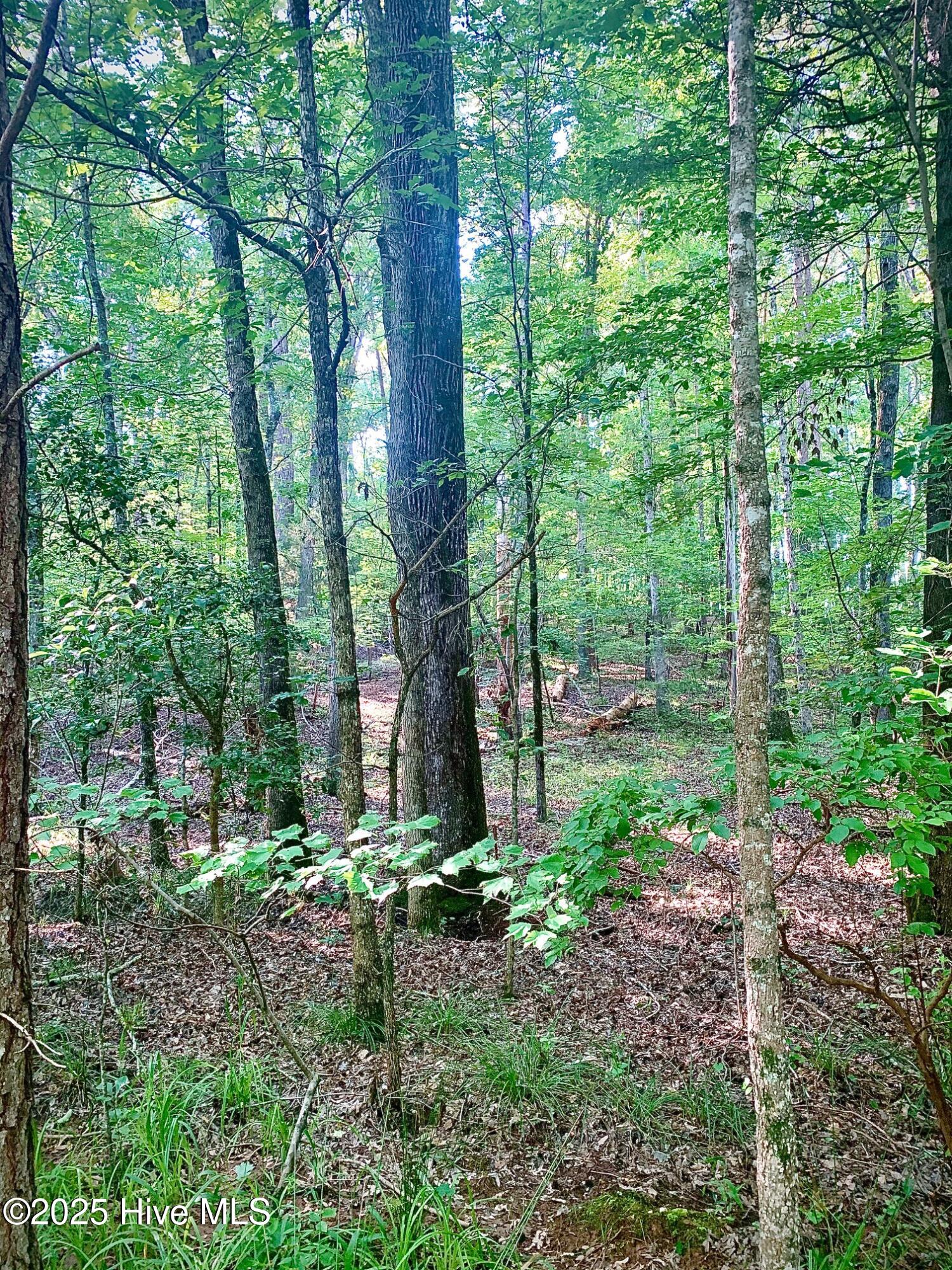 54 Palomino Road Property Photo 3