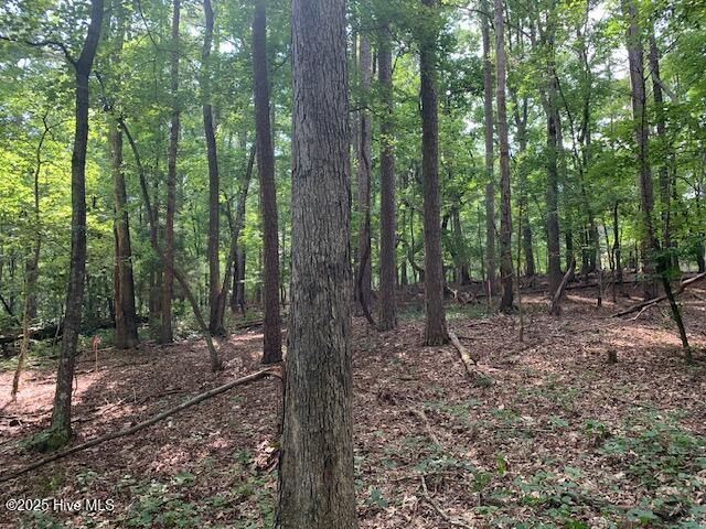 54 Palomino Road Property Photo 14