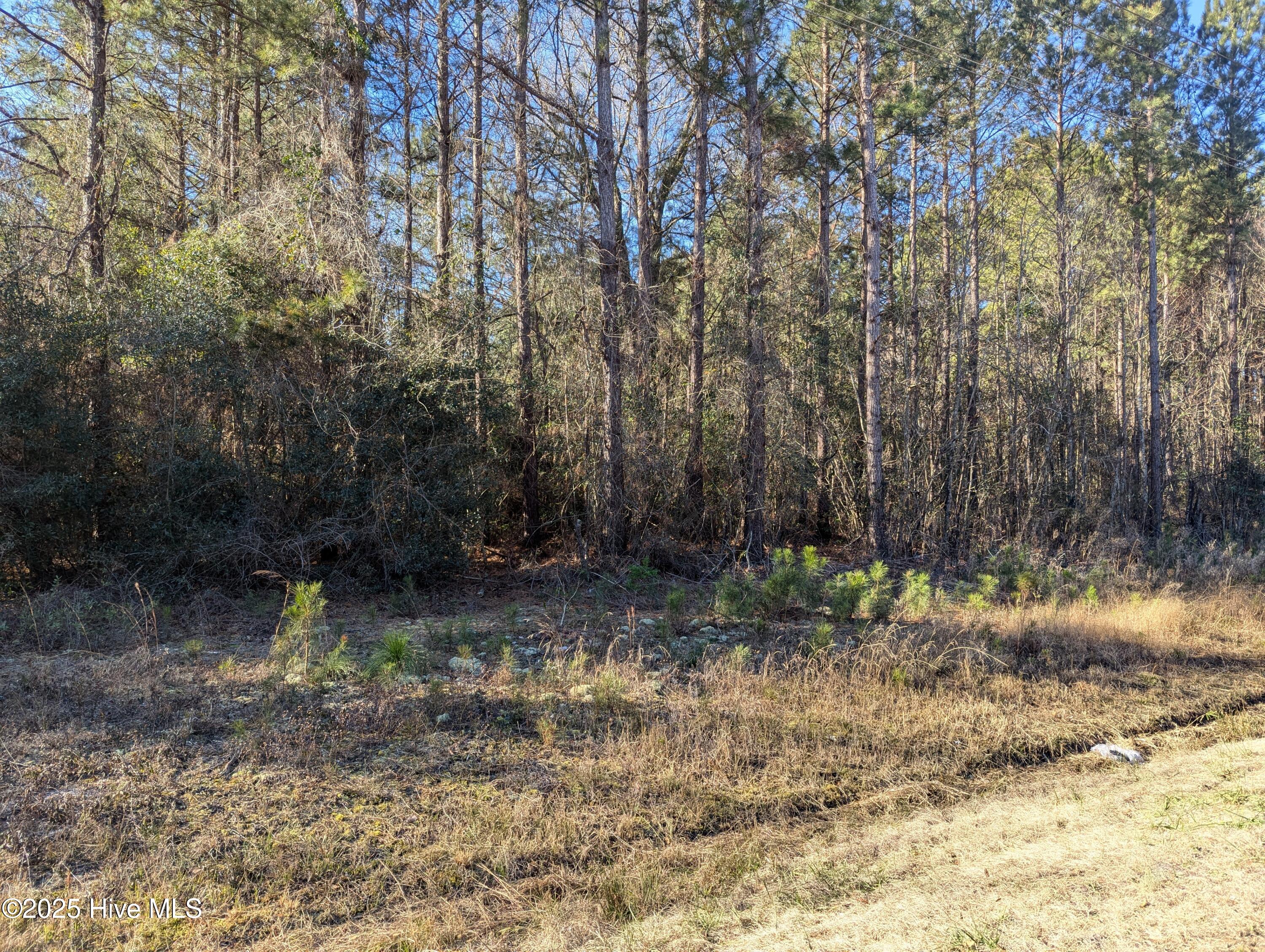 26688 Nc-210 Property Photo 4