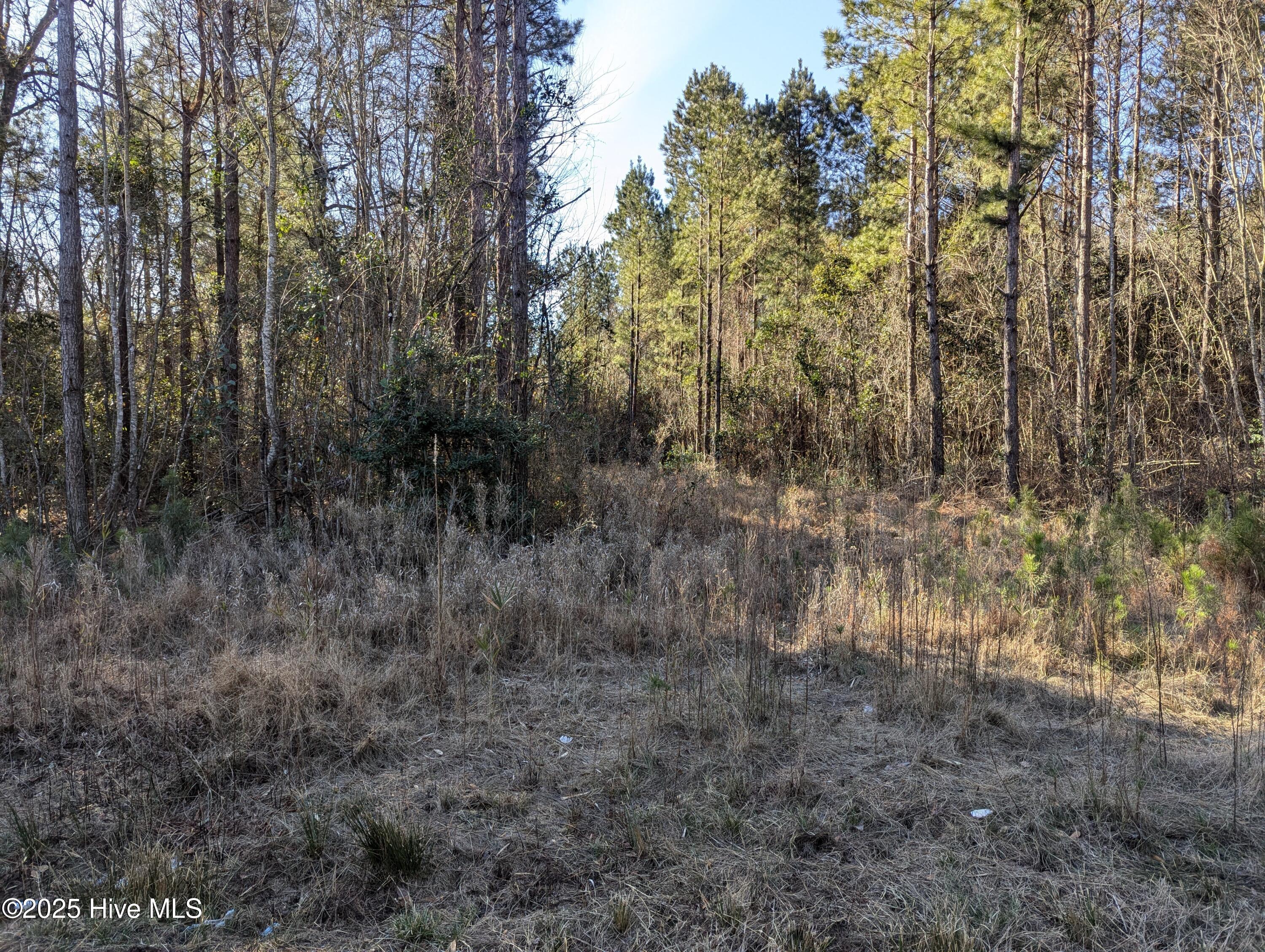 26688 Nc-210 Property Photo 5