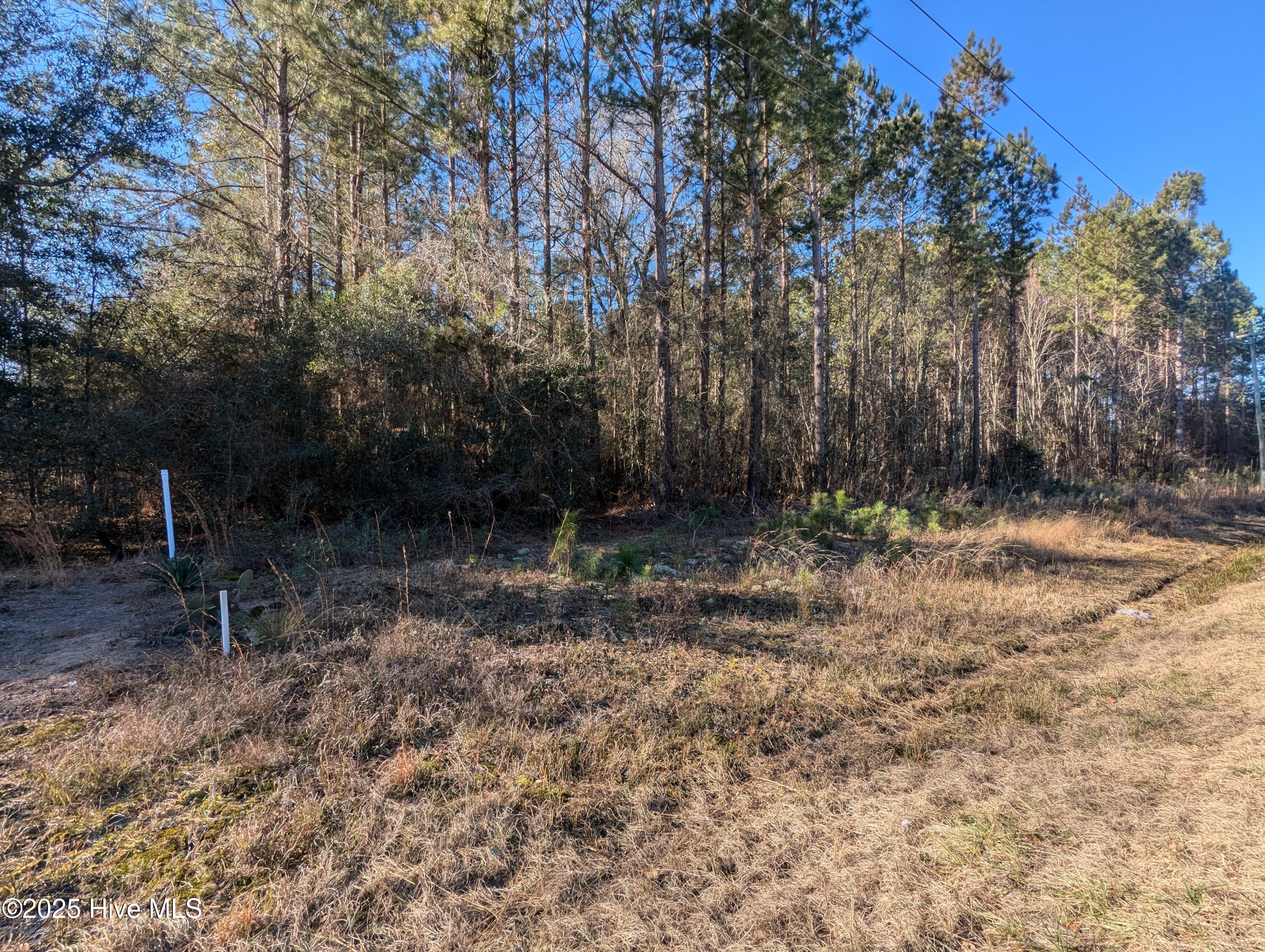 26688 Nc-210 Property Photo 6