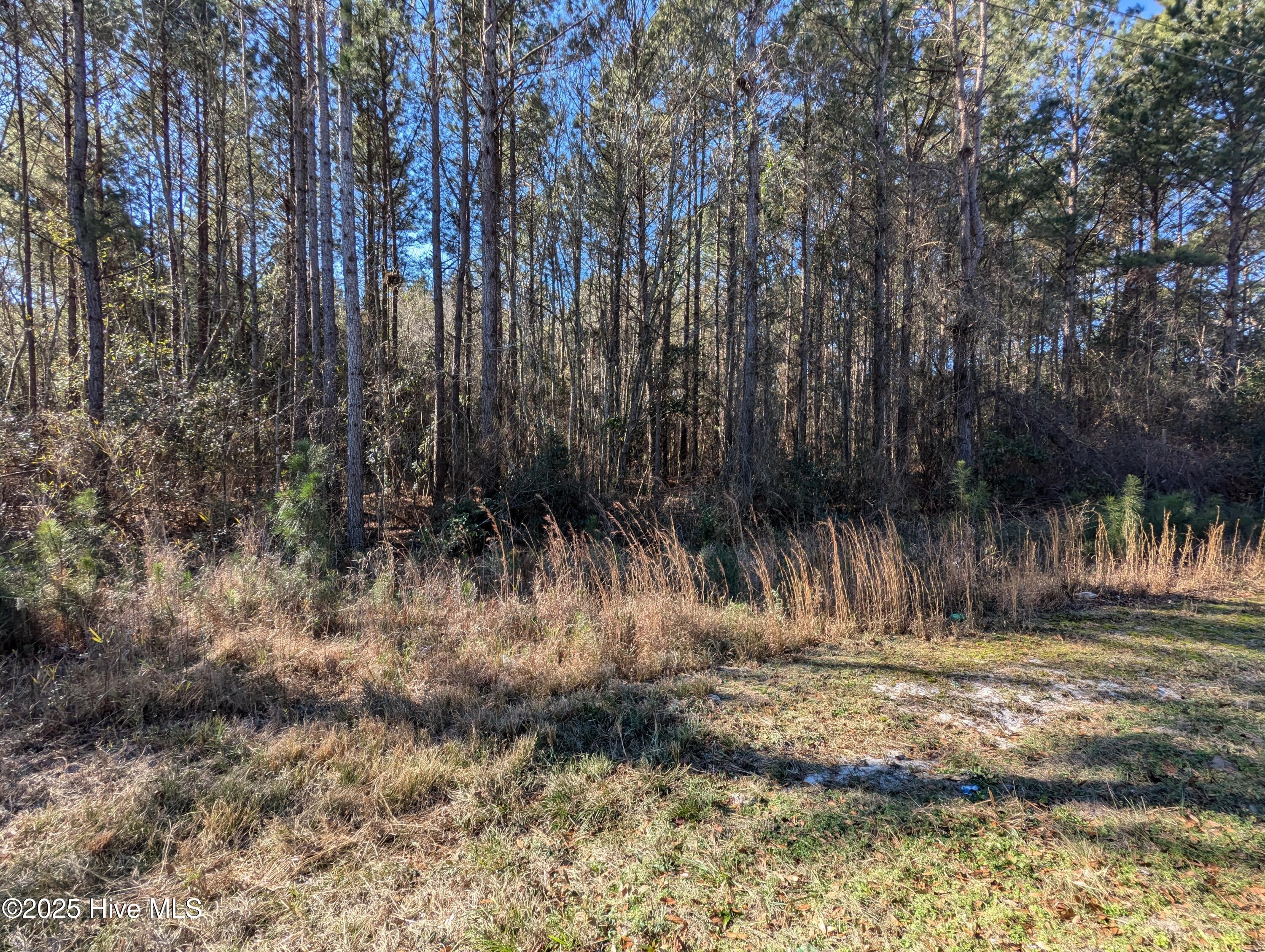 26688 Nc-210 Property Photo 8