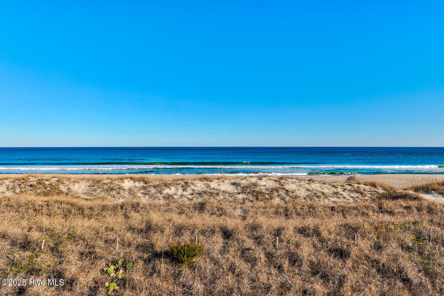 705 Carolina Beach Avenue C2 Property Photo 4