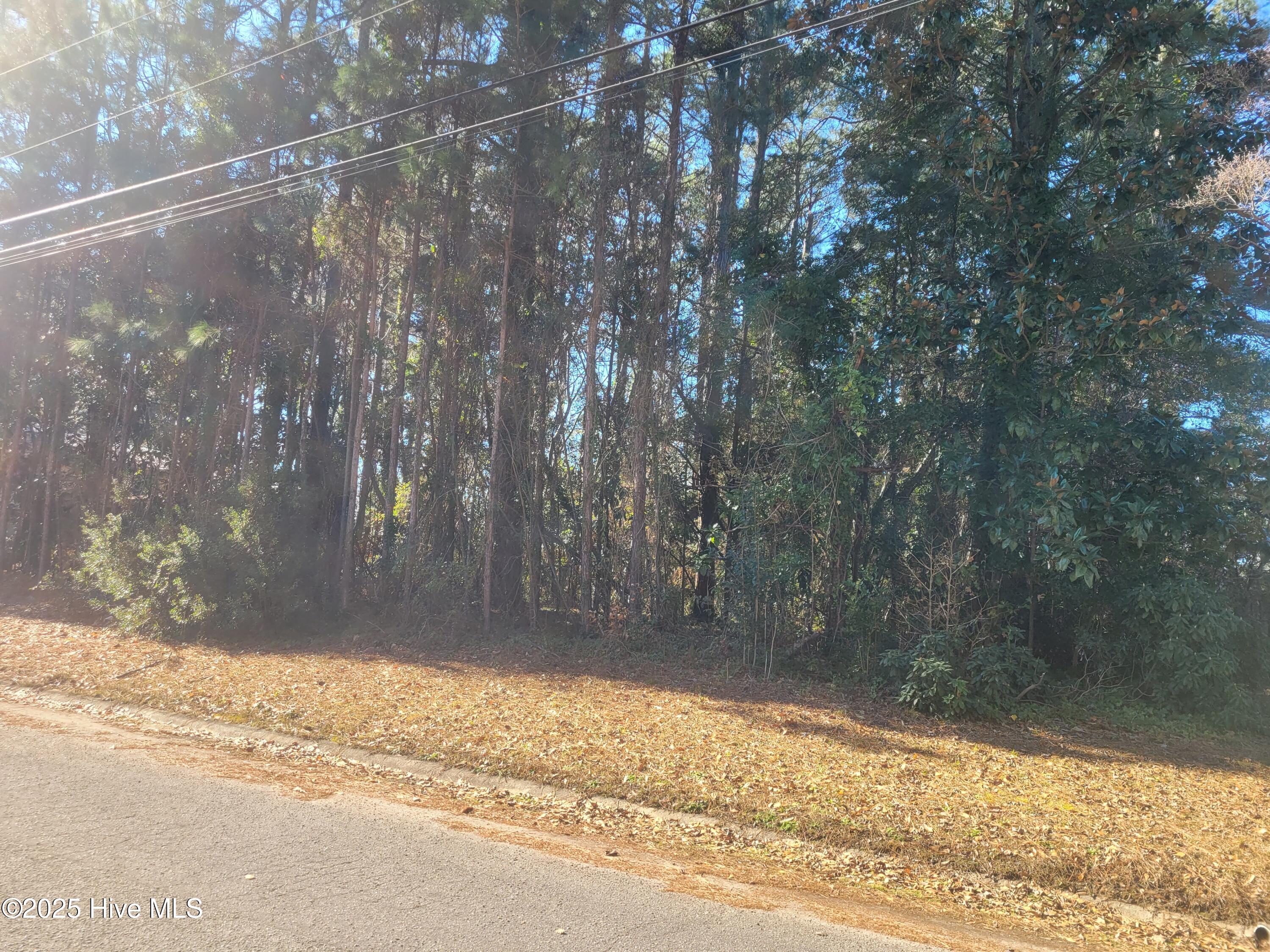 2808 Brookhaven Drive