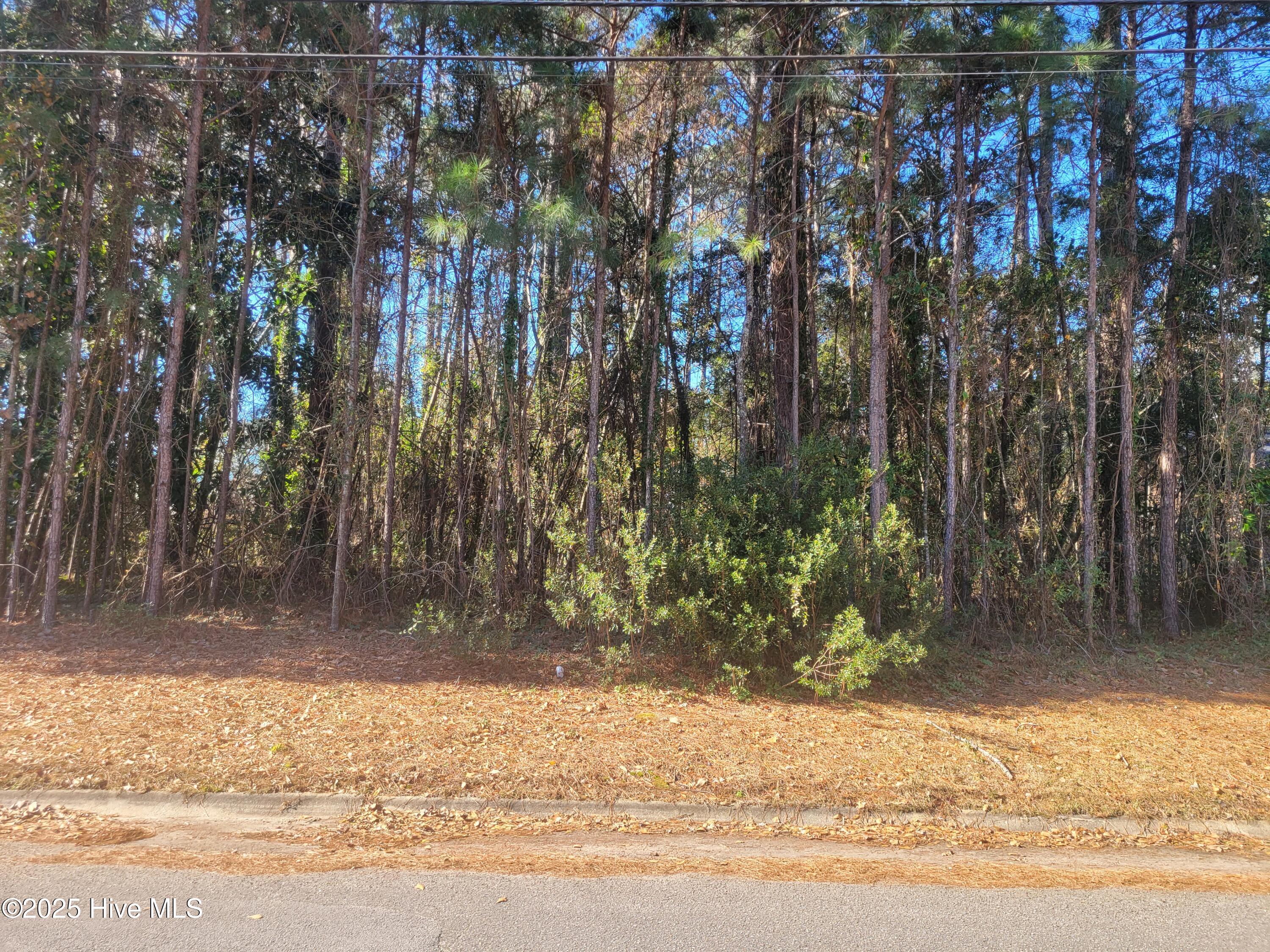 2808 Brookhaven Drive Property Photo 2