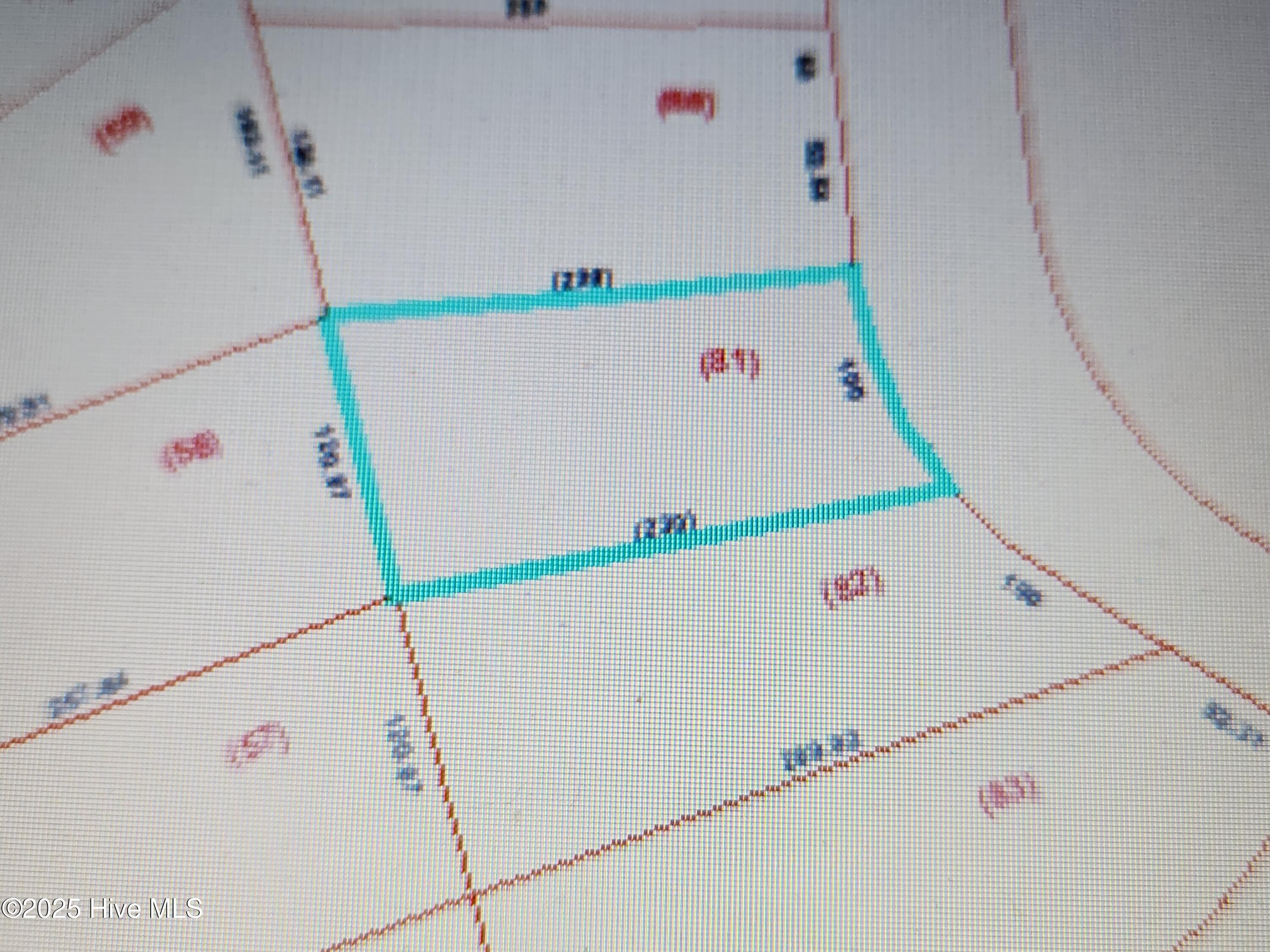 305 Antebellum Drive Property Photo 3