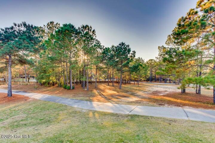 5854 England Point Property Photo 6