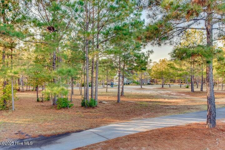 5854 England Point Property Photo 9