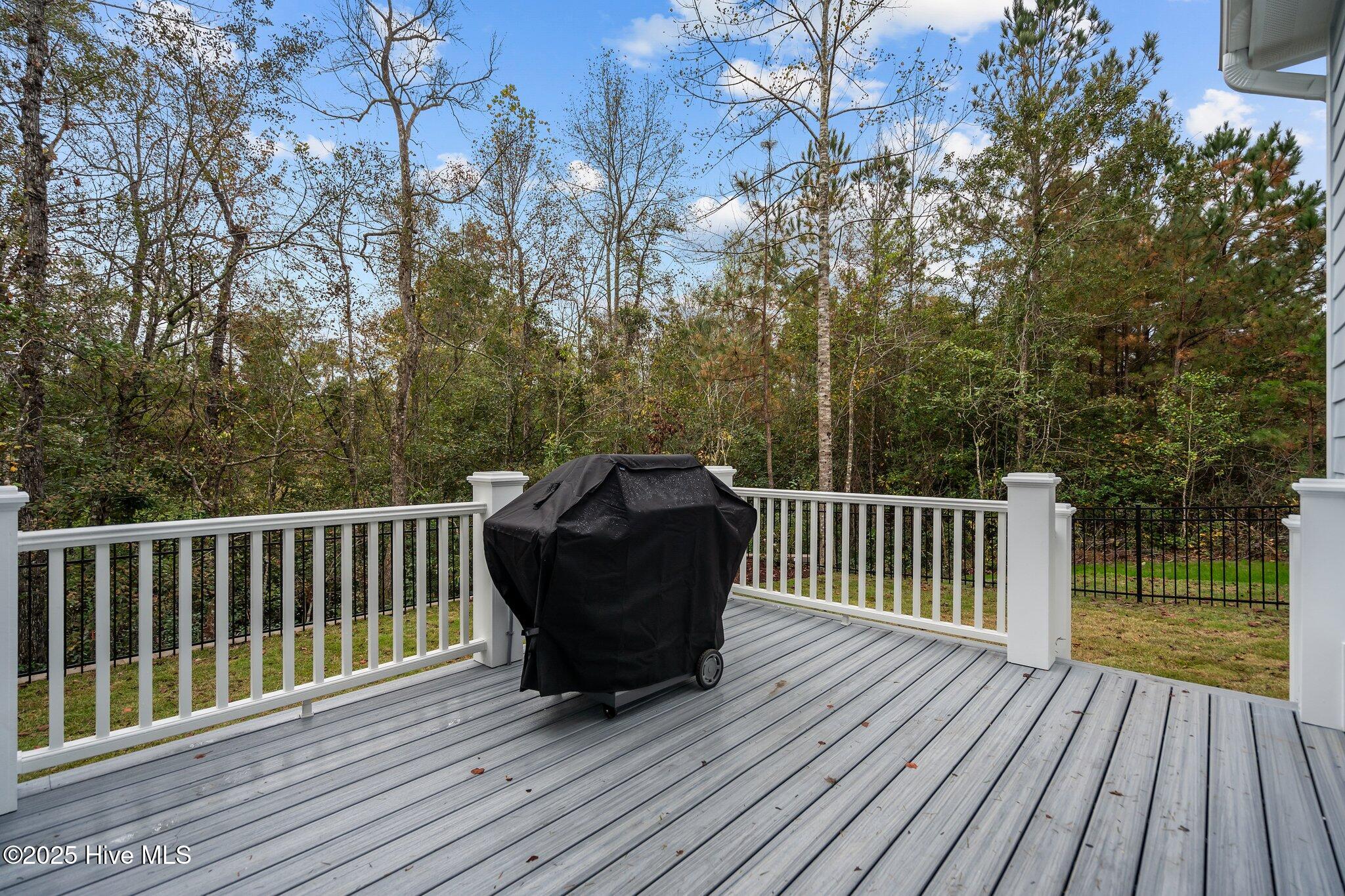 3818 Lemon Drop Lane Property Photo 31