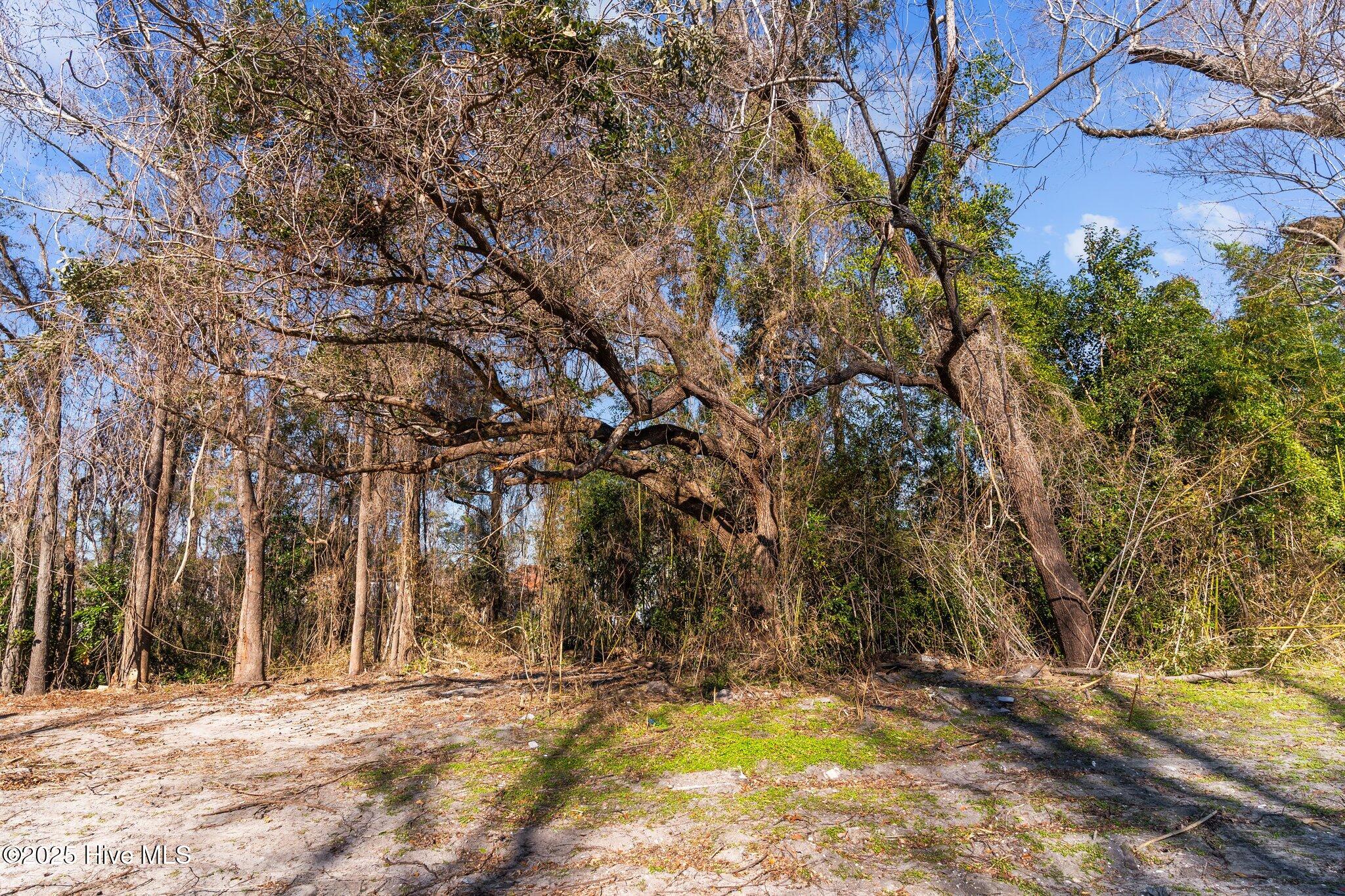 1060 Navaho Trail Property Photo 9